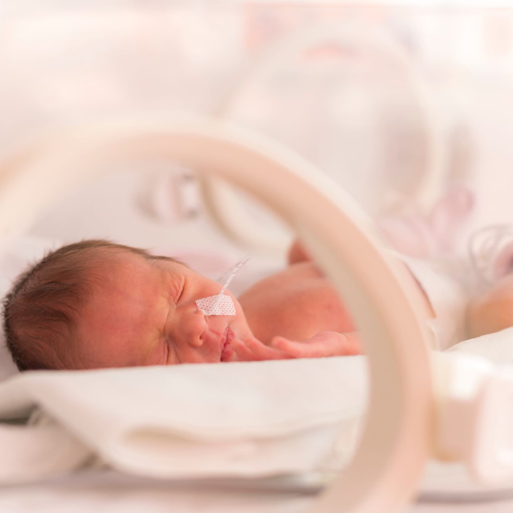 de ontwikkeling van een couveuse baby