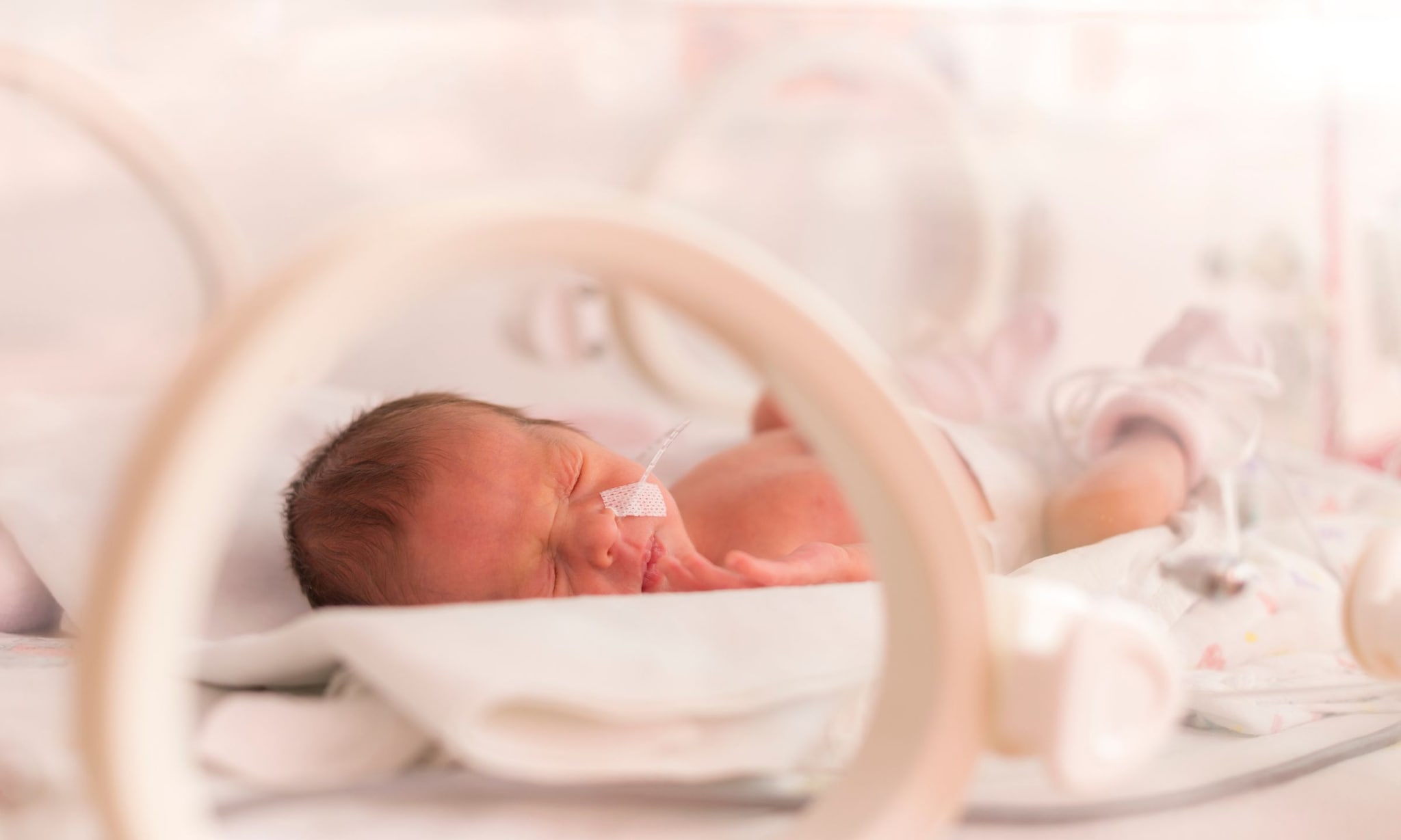De ontwikkeling van een couveuse baby Getty Images