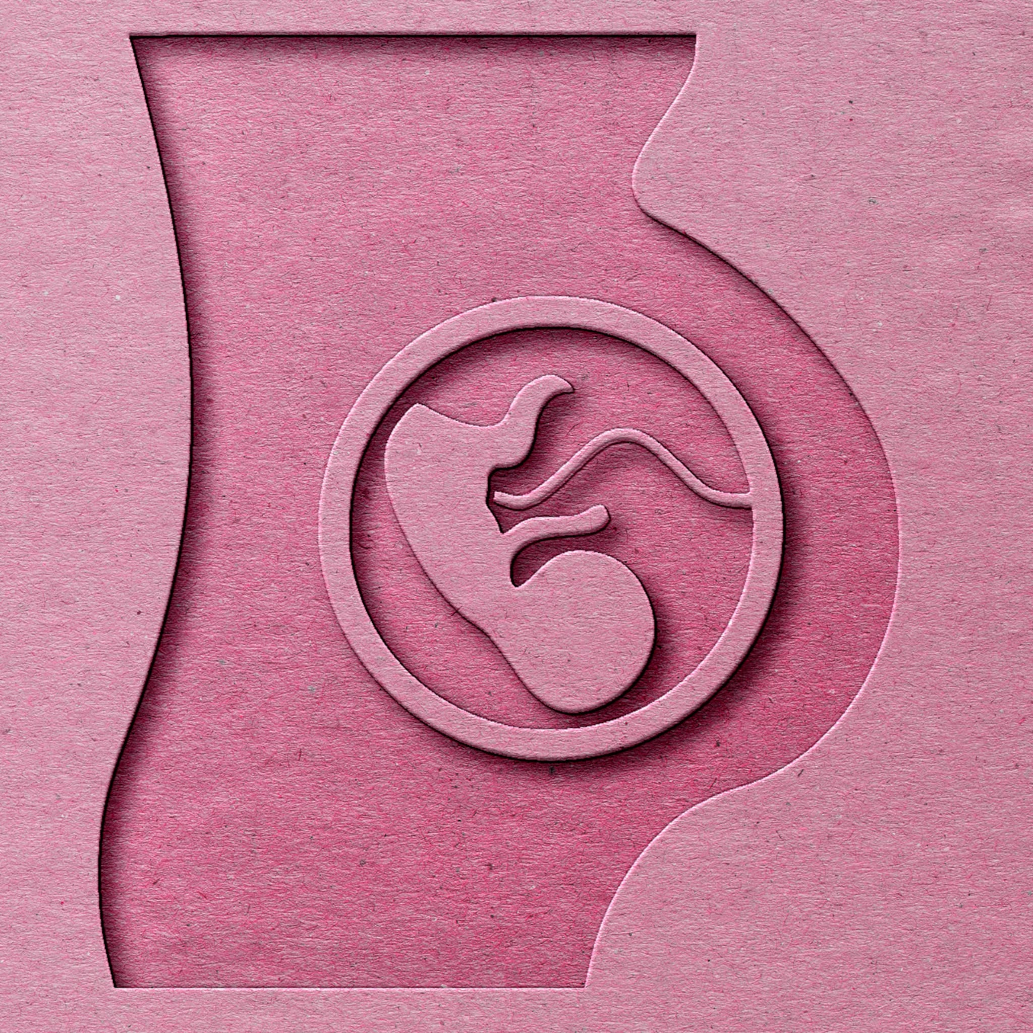 in een smoothie of roerbakken de placenta eten een goed idee of niet