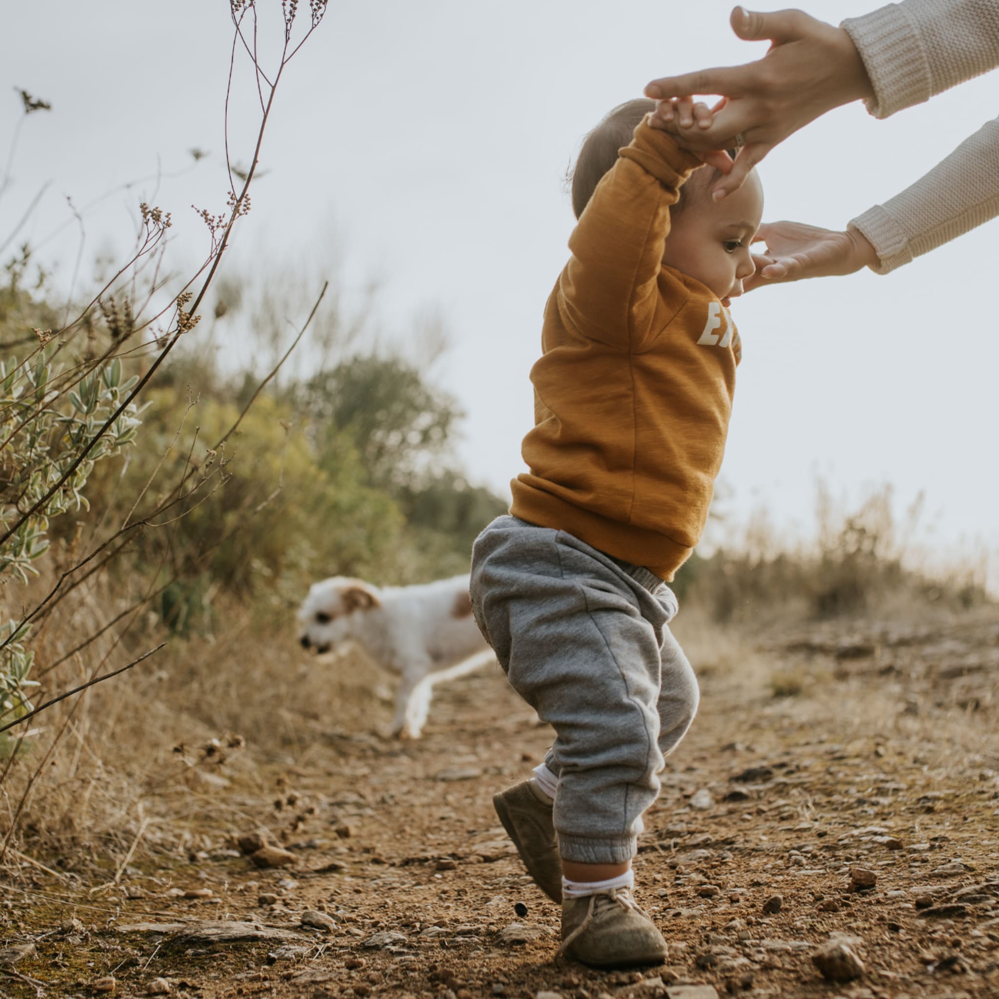 leren lopen de eerste stapjes van je baby