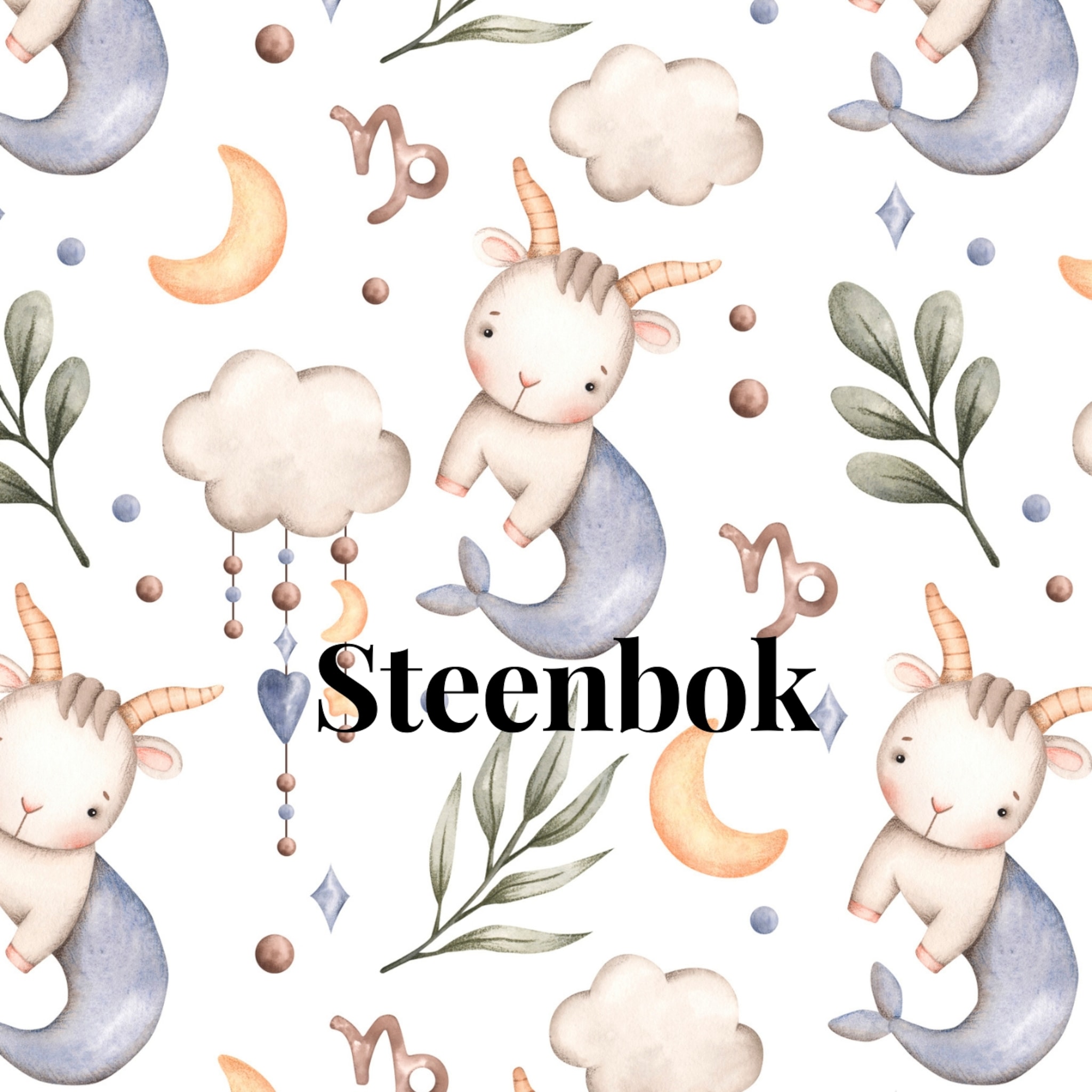 sterrenbeeld steenbok eigenschappen van je kind