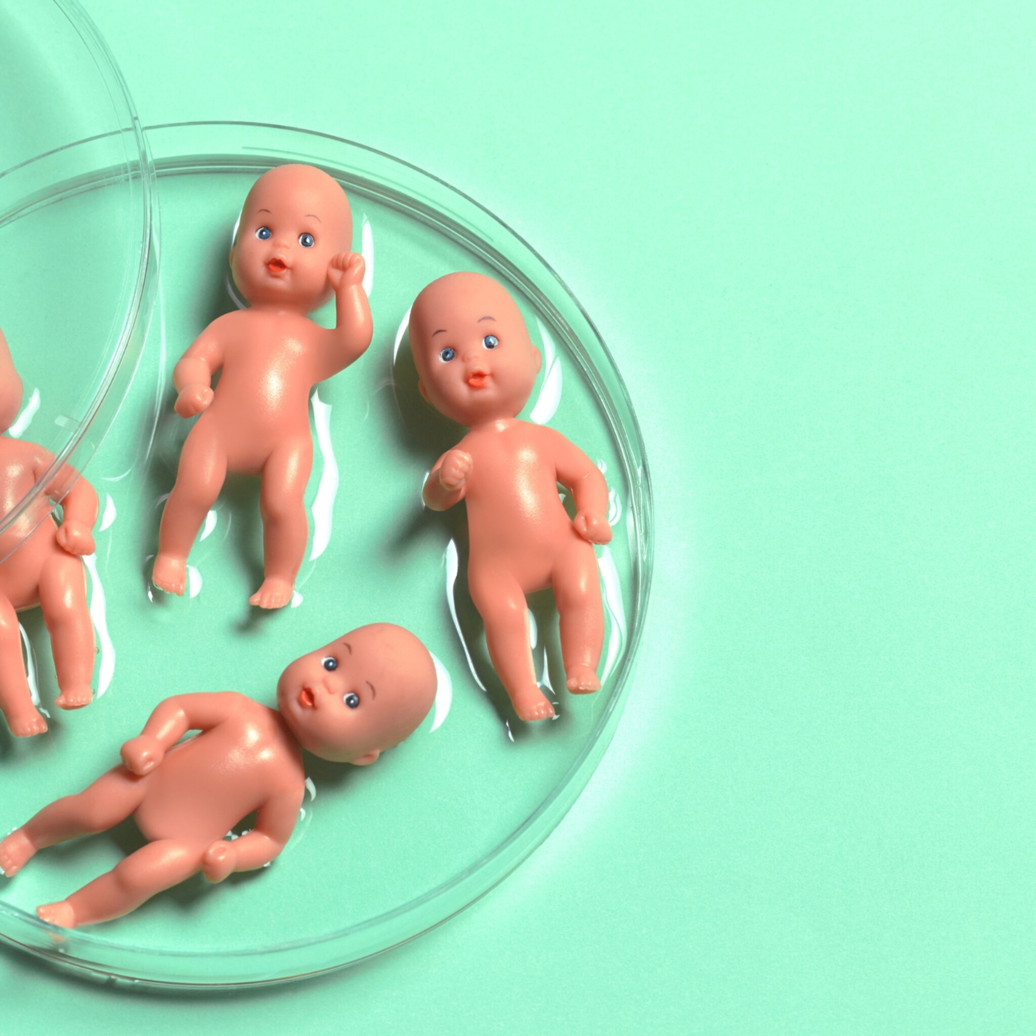 genetische afwijking embryoselectie screening zwanger
