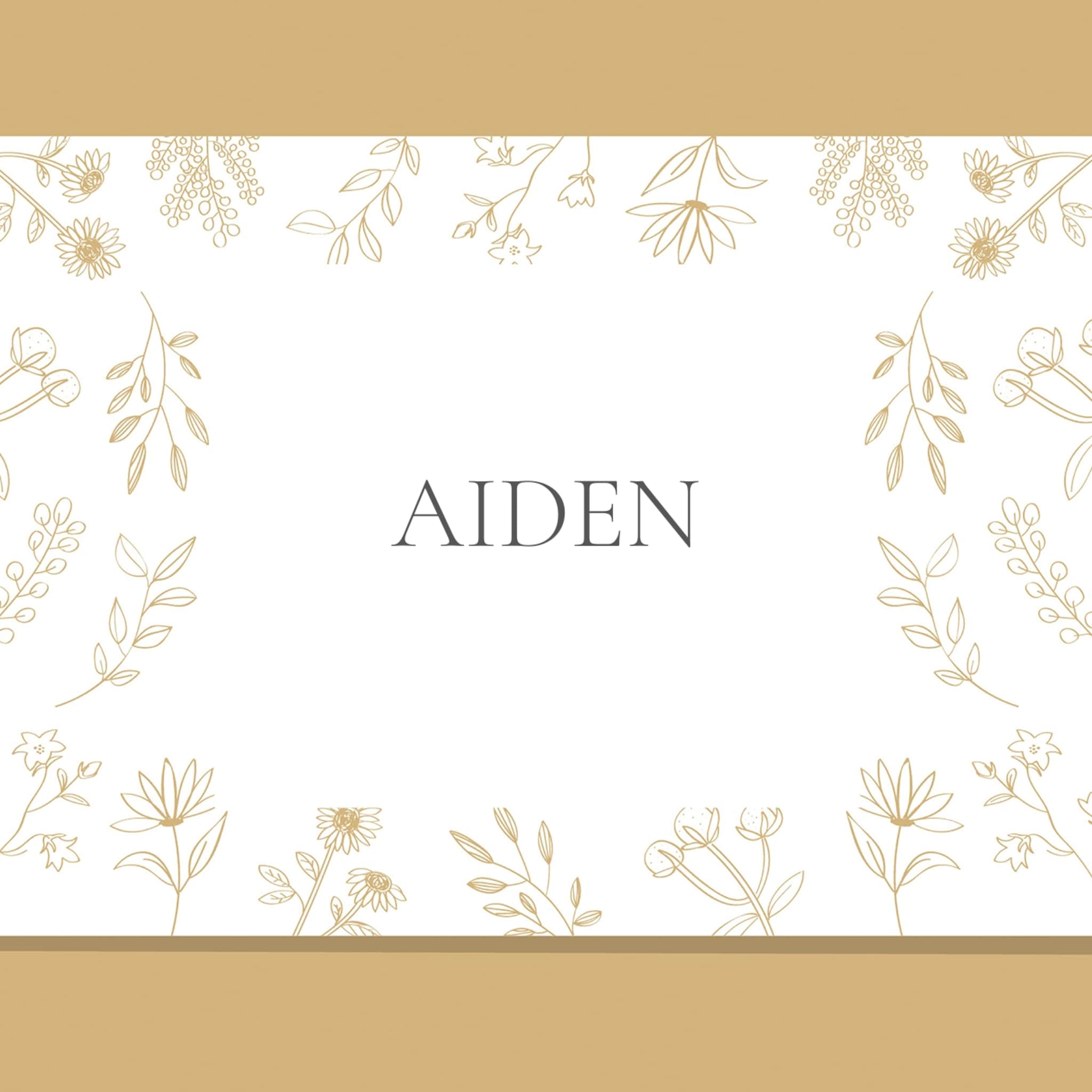 aiden
