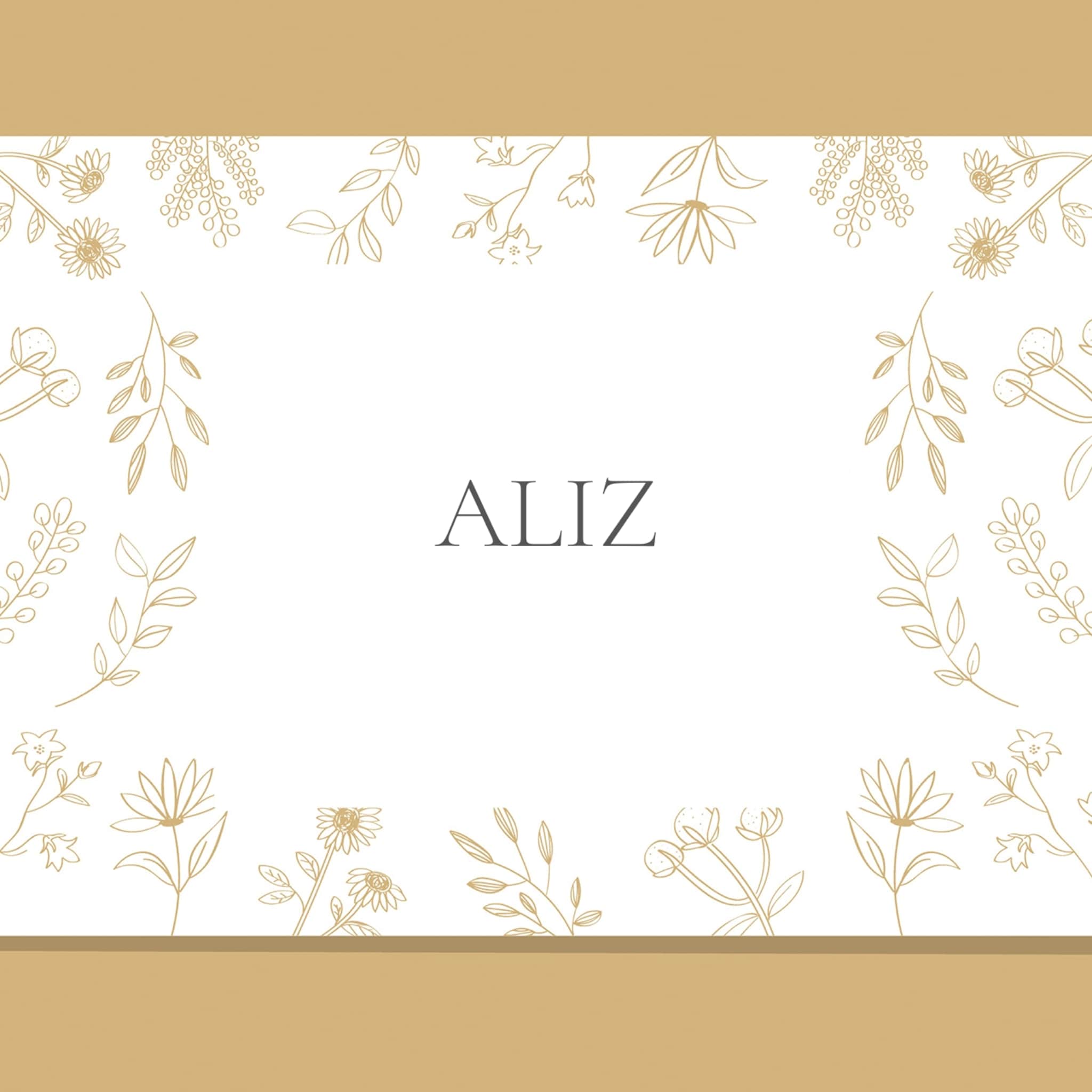 aliz