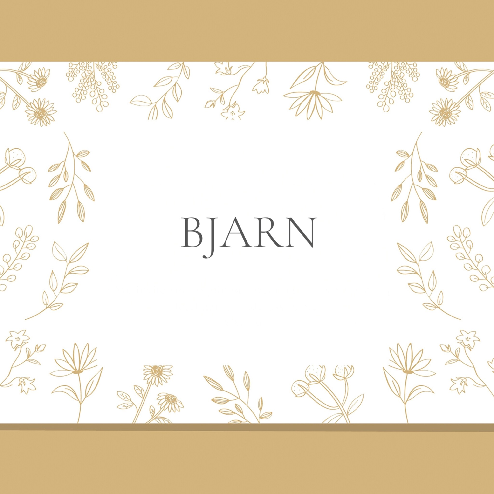 bjarn