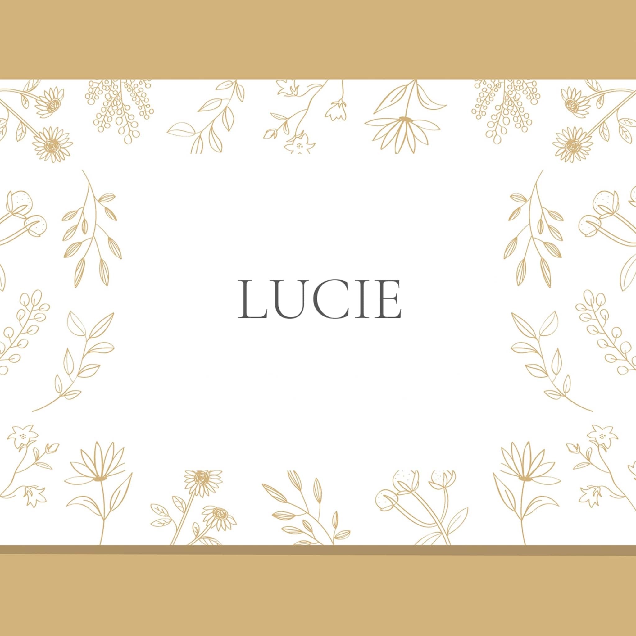 lucie