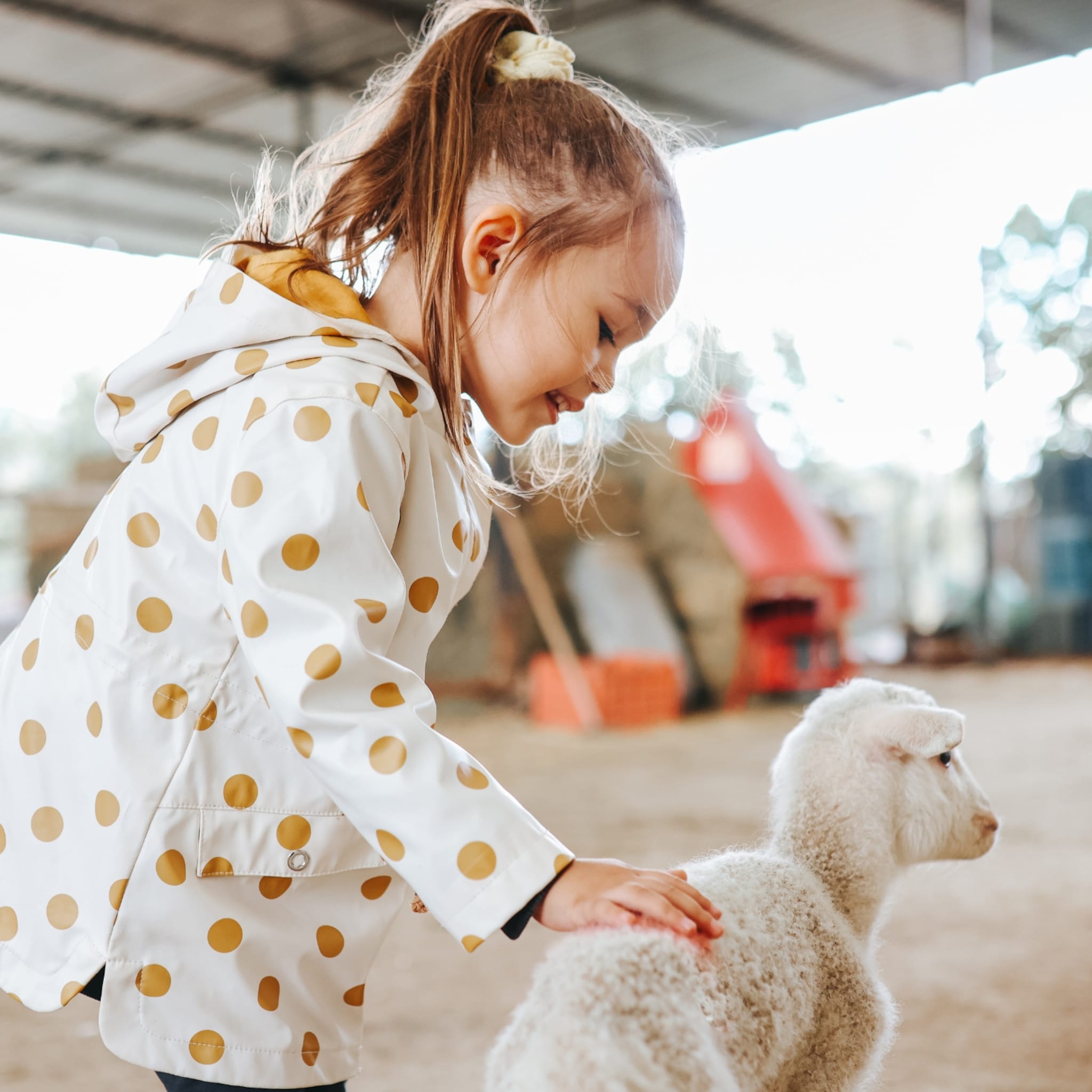 leukste kinderboerderijen voor peuters en kleuters