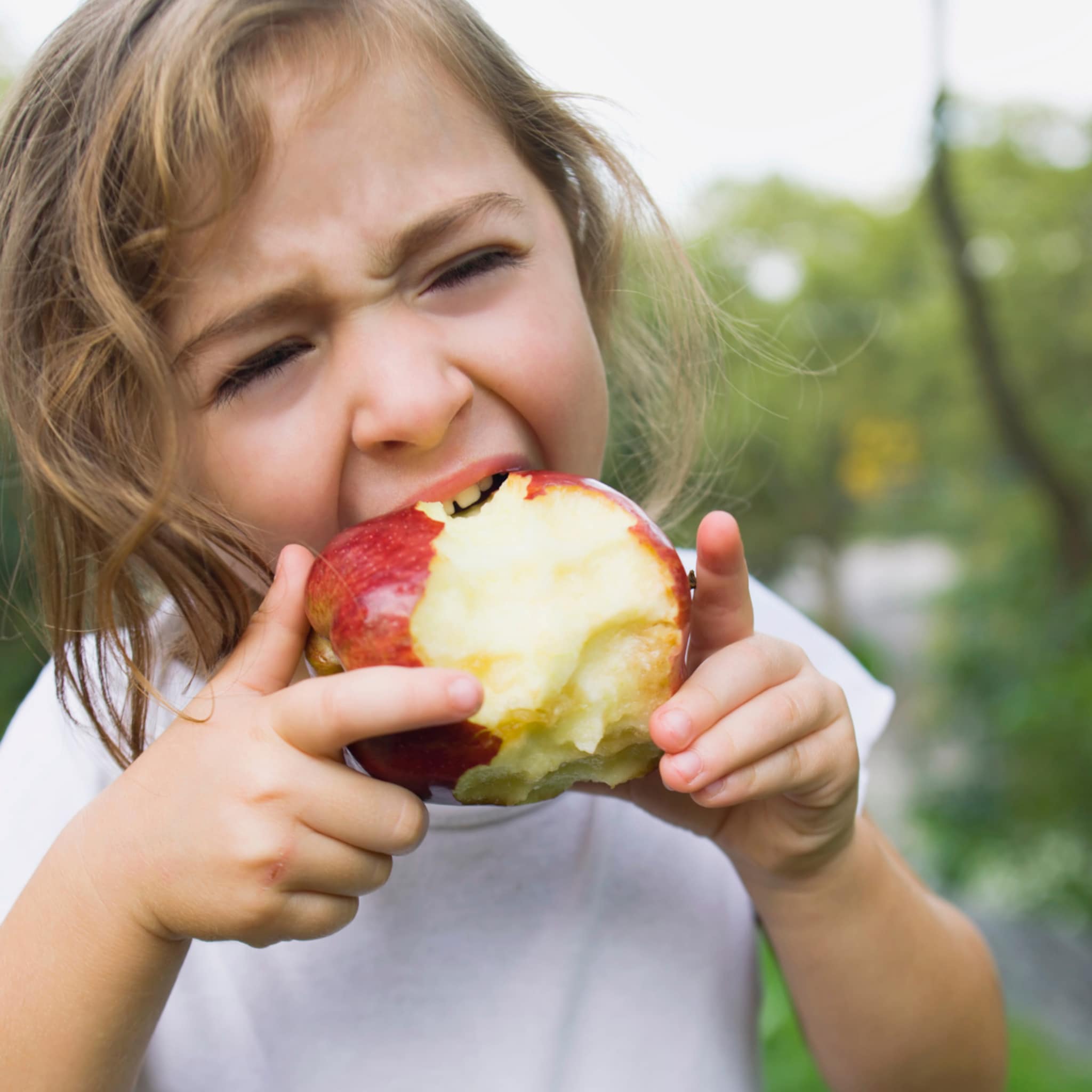 allergisch voor appels appelallergie