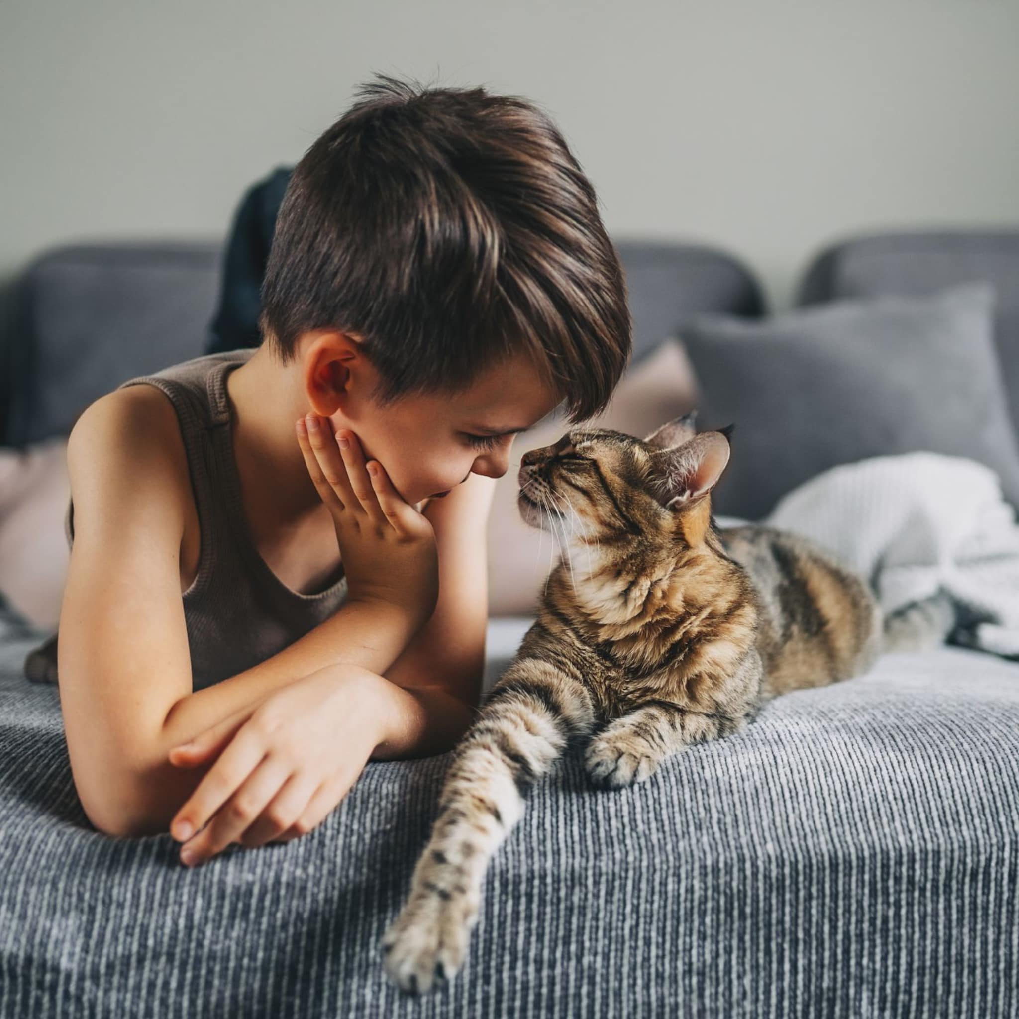 kind allergisch voor katten honden of andere huisdieren