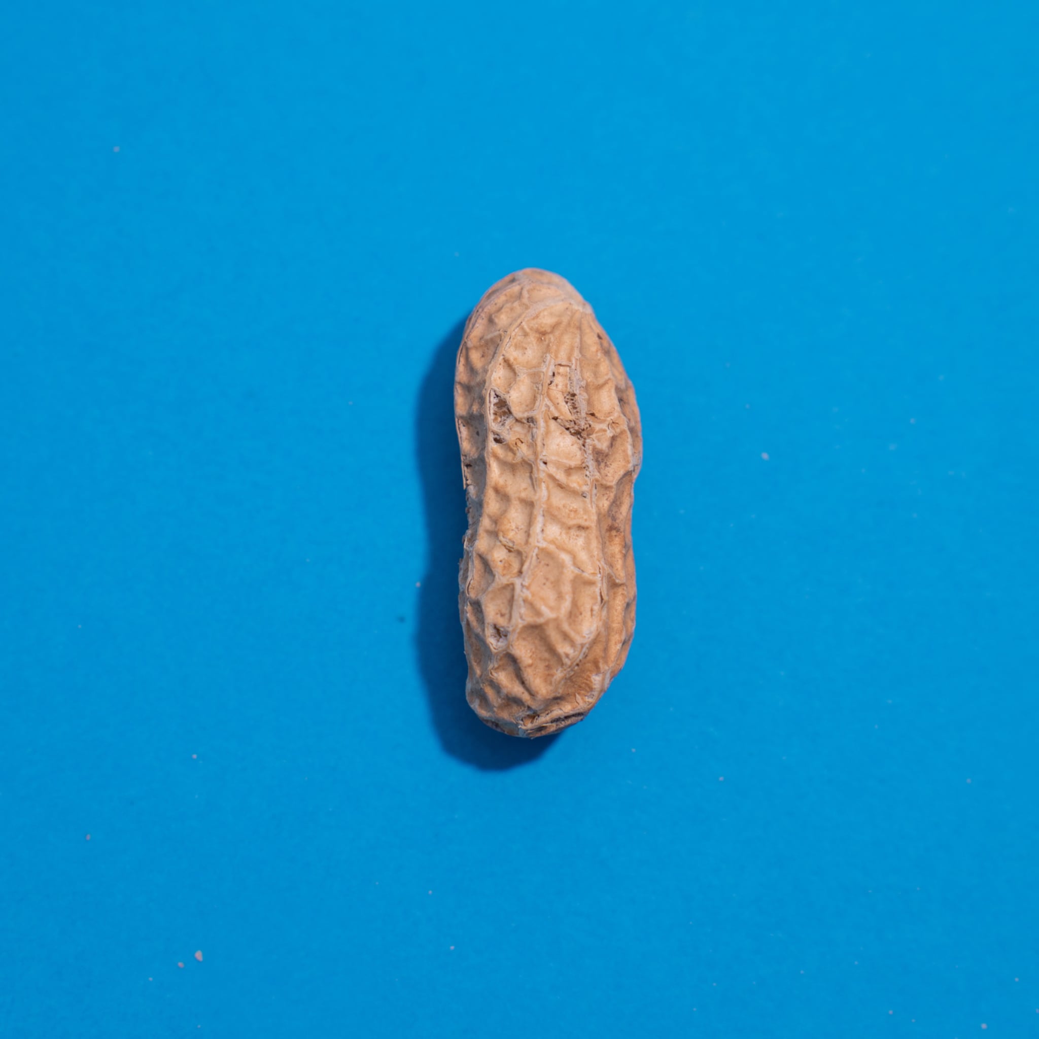 pinda allergie bij baby s en peuters