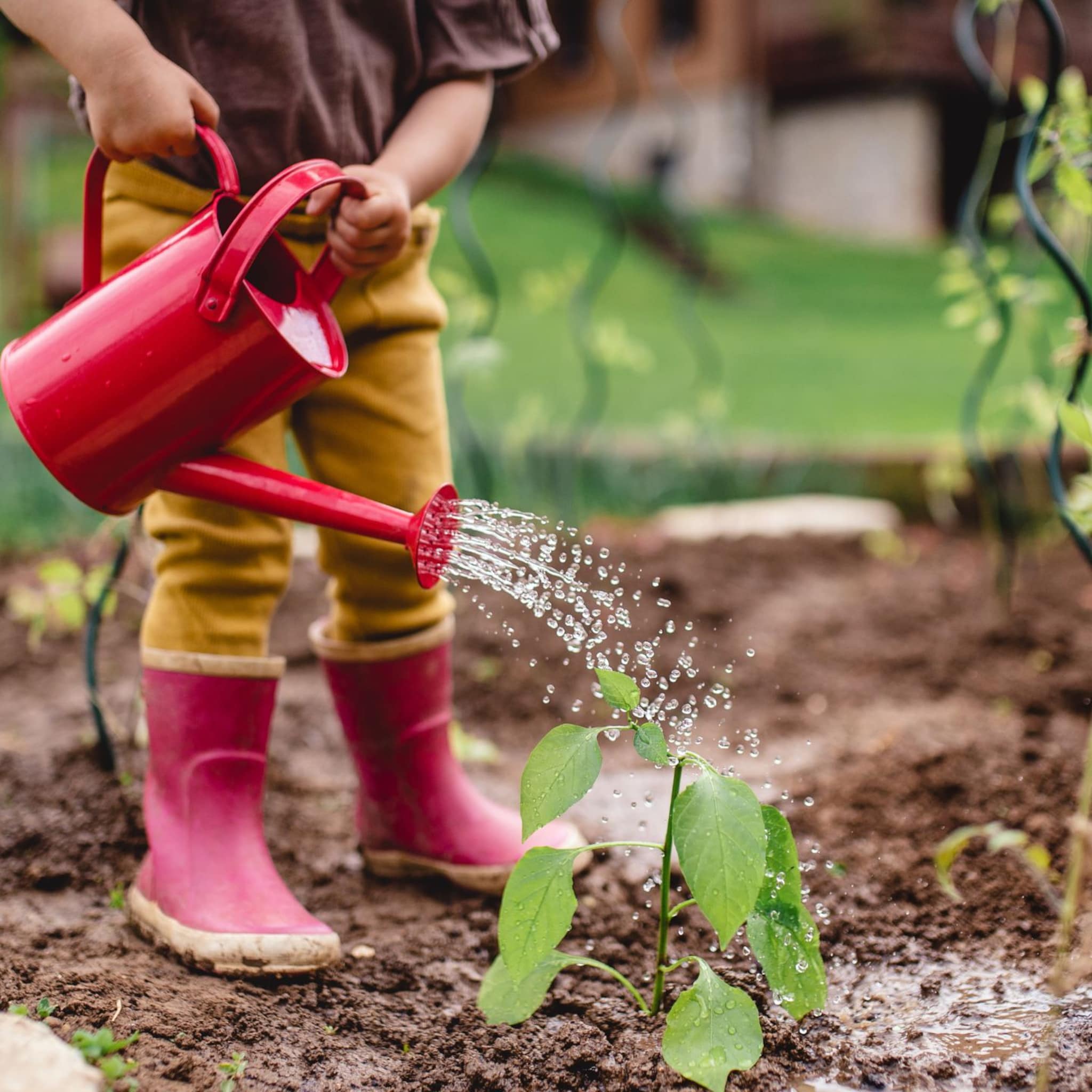 tuin veilig maken voor je kind