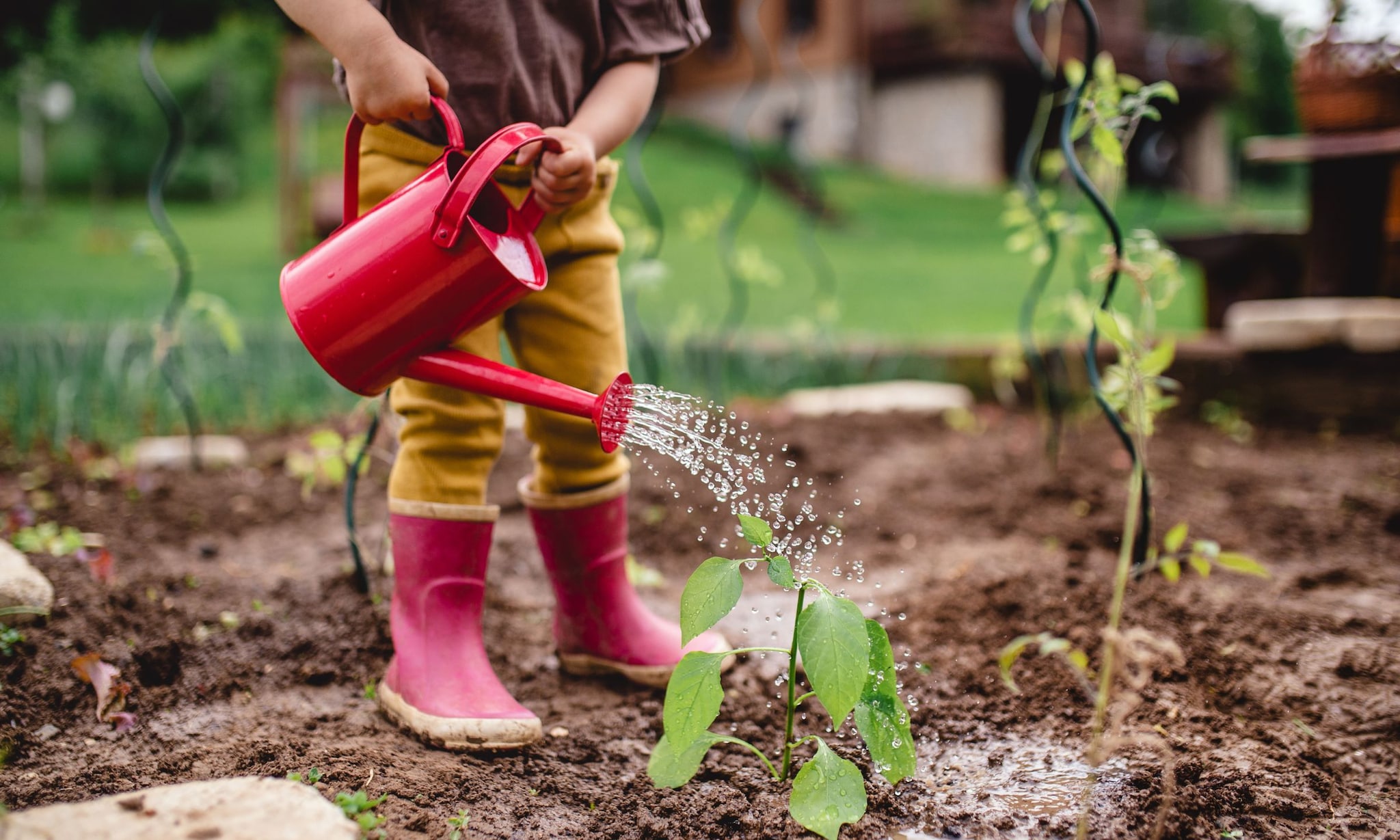 tuin veilig maken voor je kind Getty Images