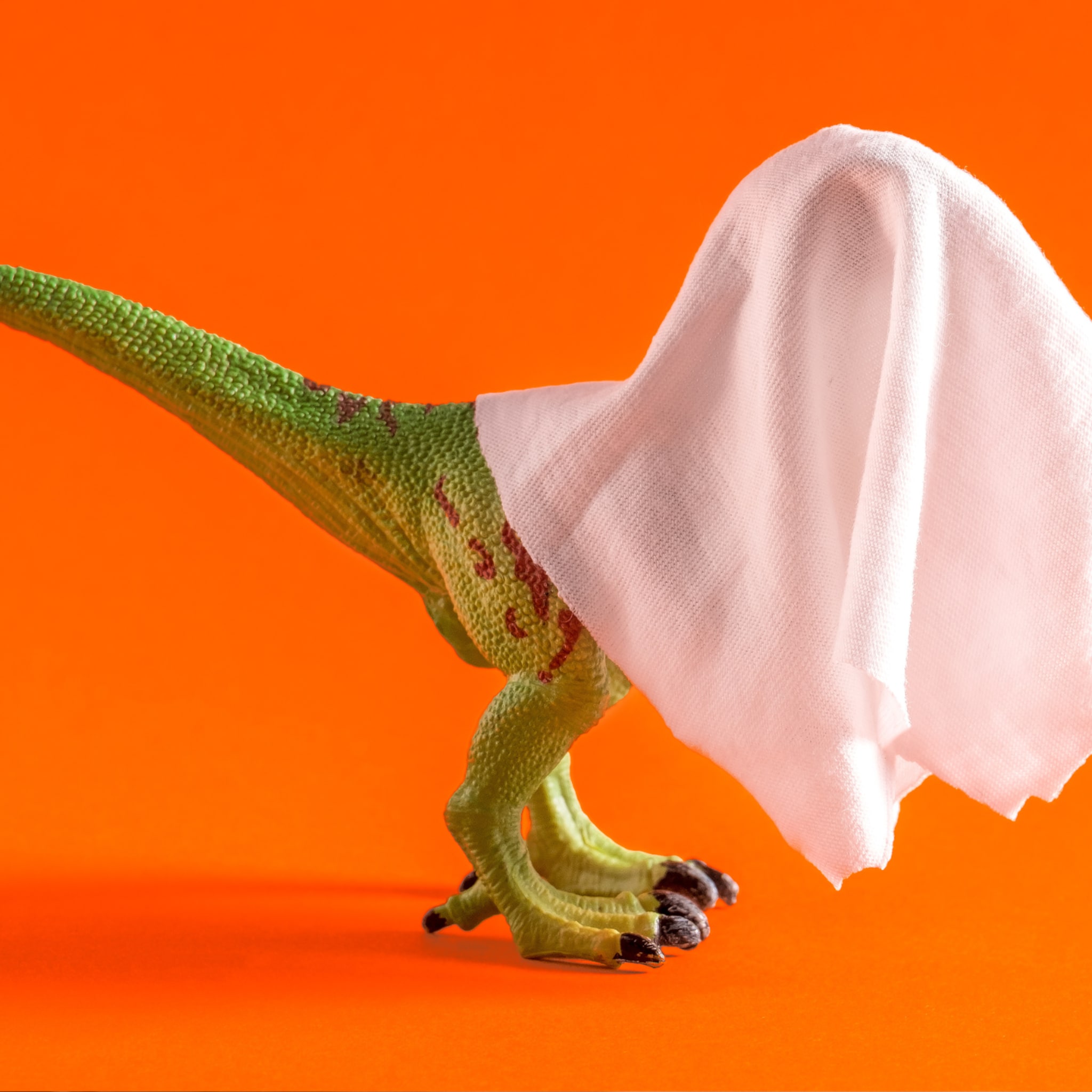 angst voor een inwendig onderzoek eendenbek