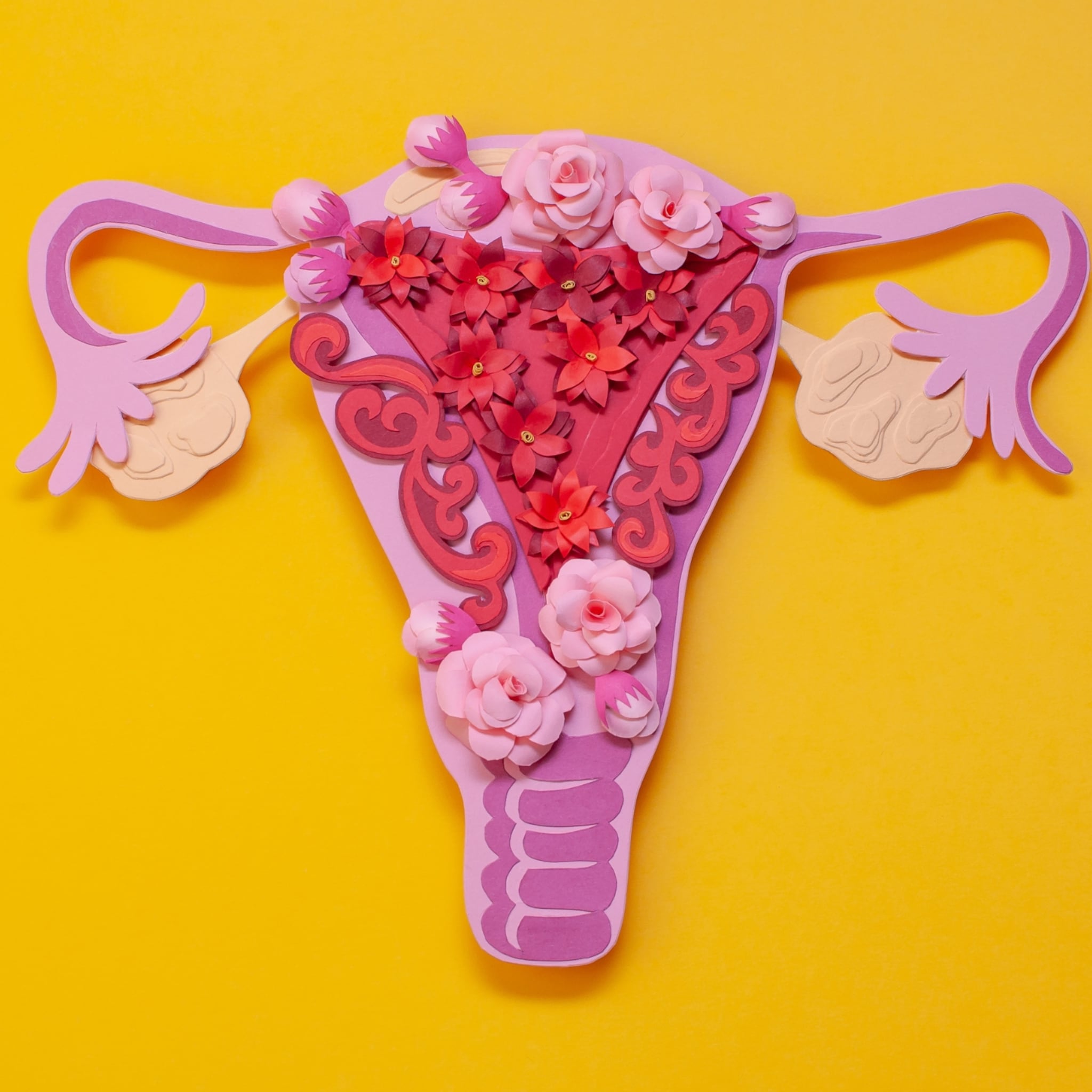 romy endometriose snel zwanger worden
