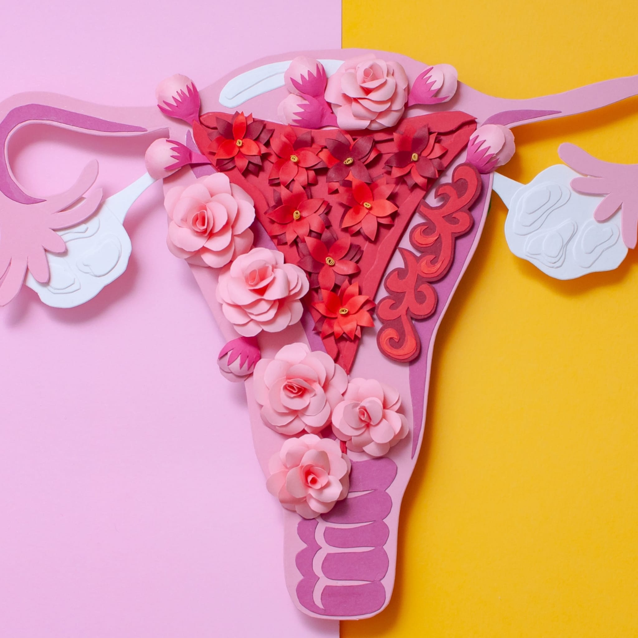 dit moet je weten over endometriose