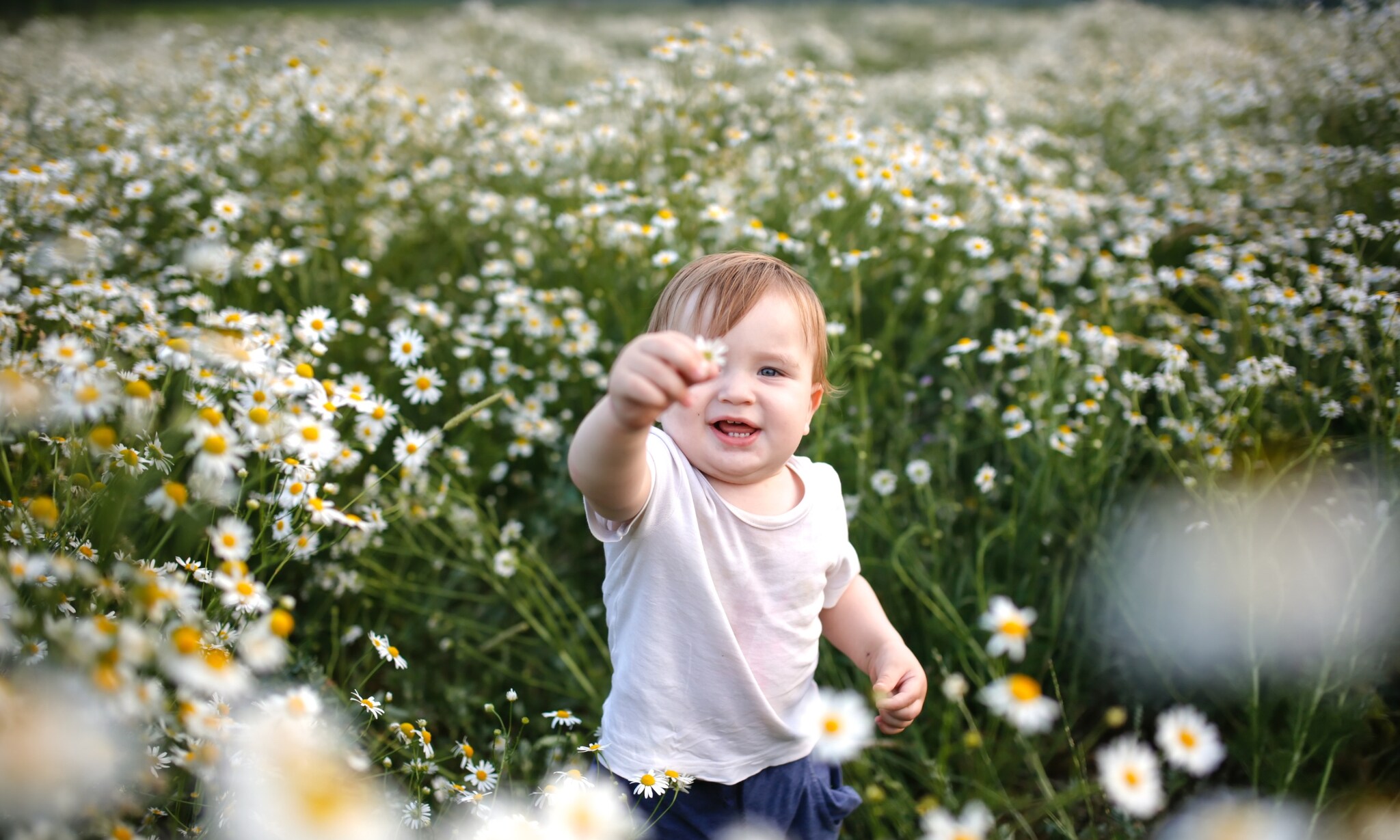 kind in weiland met margrietjes Getty Images