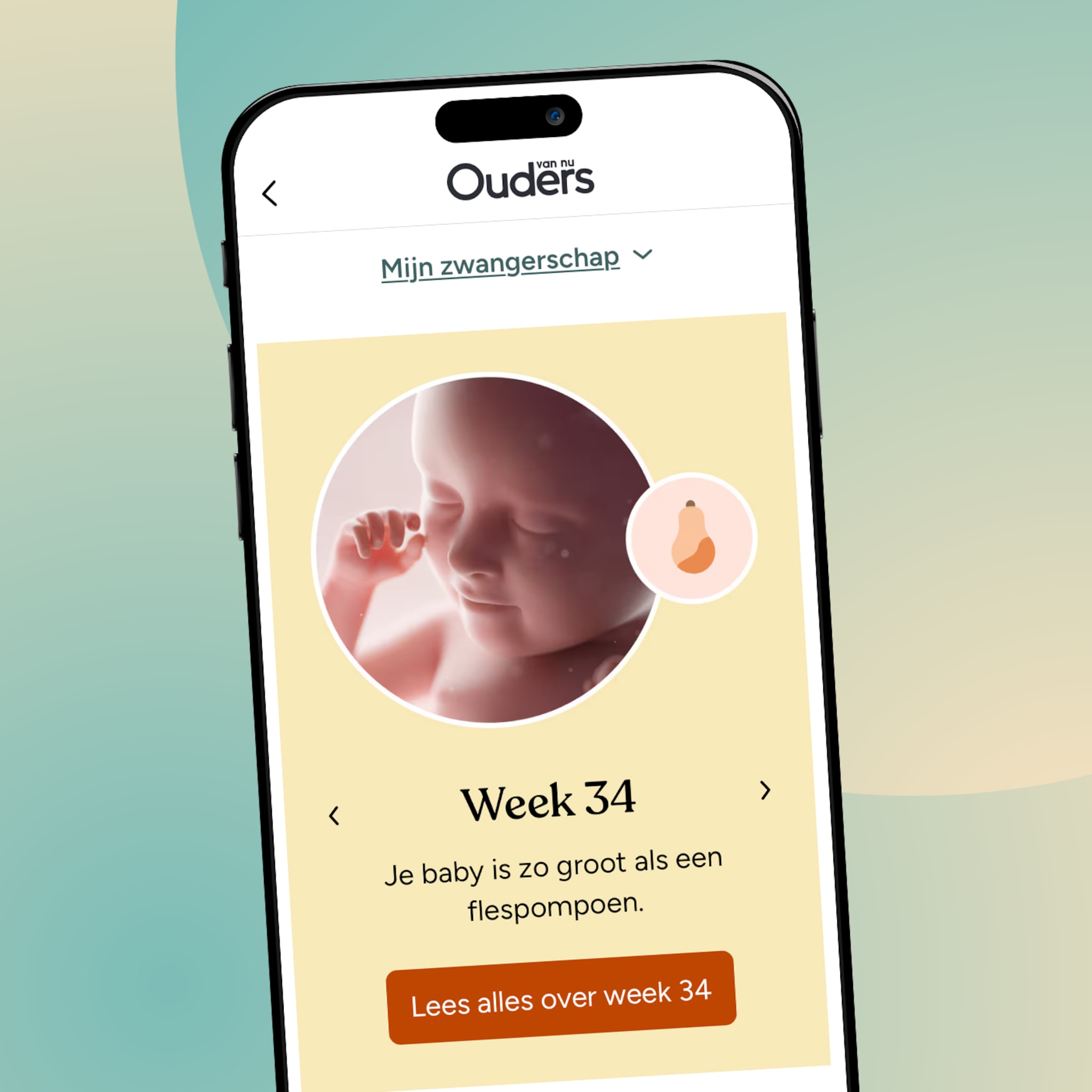 Altijd op de hoogte met de Ouders van Nu - Zwanger & Baby app. Volg je zwangerschap en de ontwikkeling van je baby.