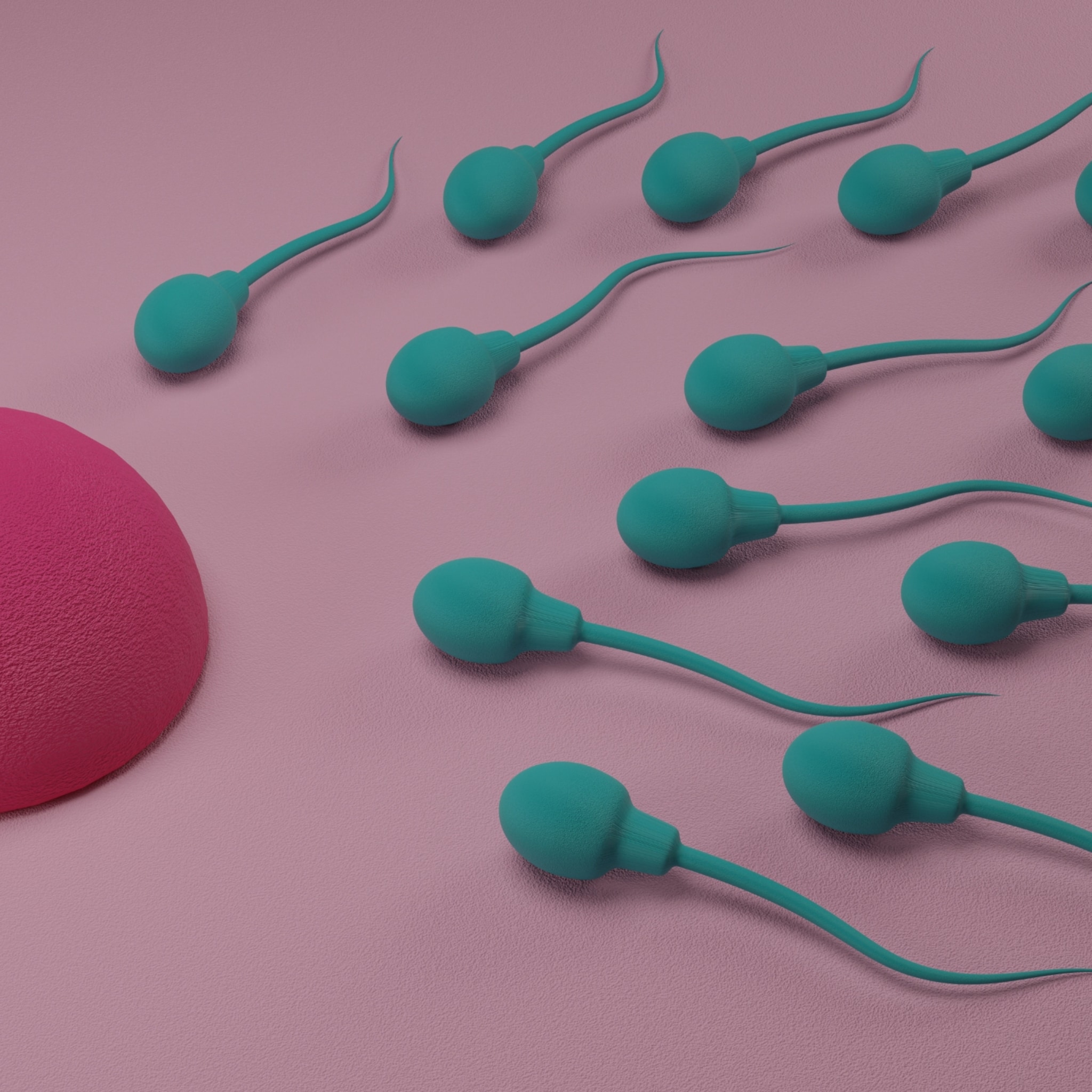 thijs launspach fertiliteitstraject boek het is jullie zo gegund