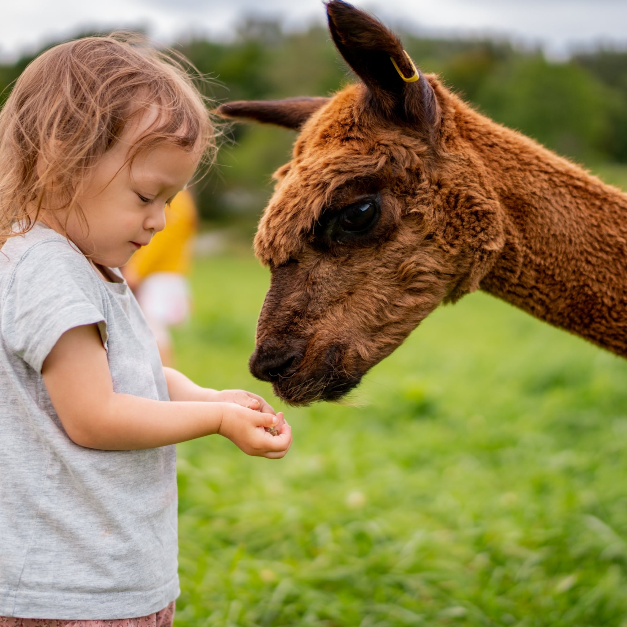 de leukste dierentuinen van nederland