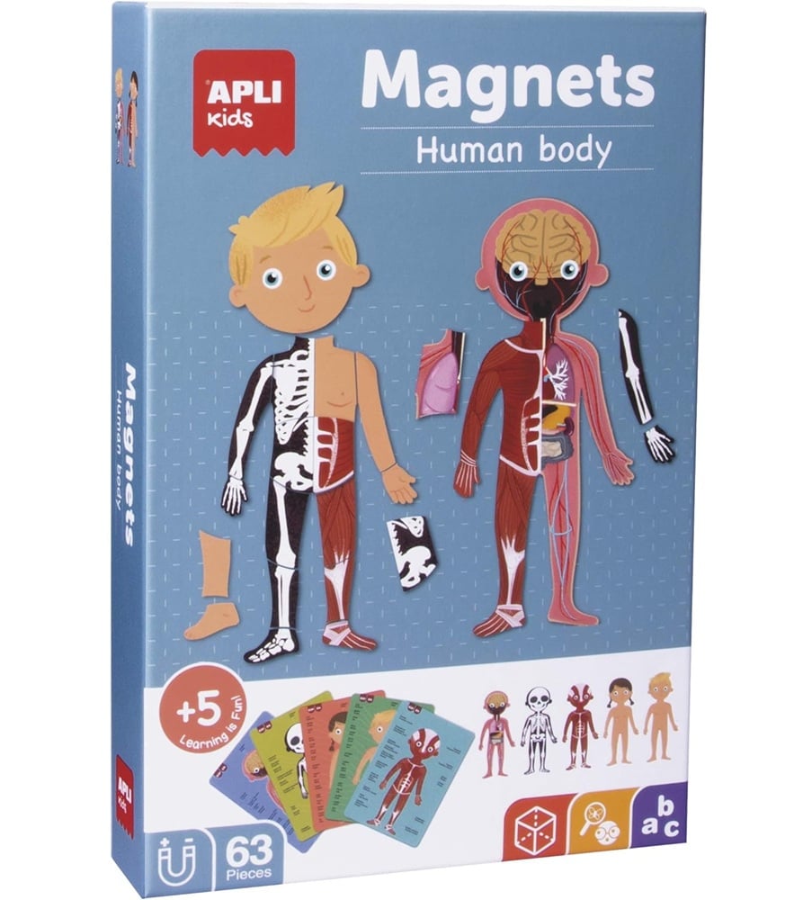 apli kids magneten menselijk lichaam APLI Kids