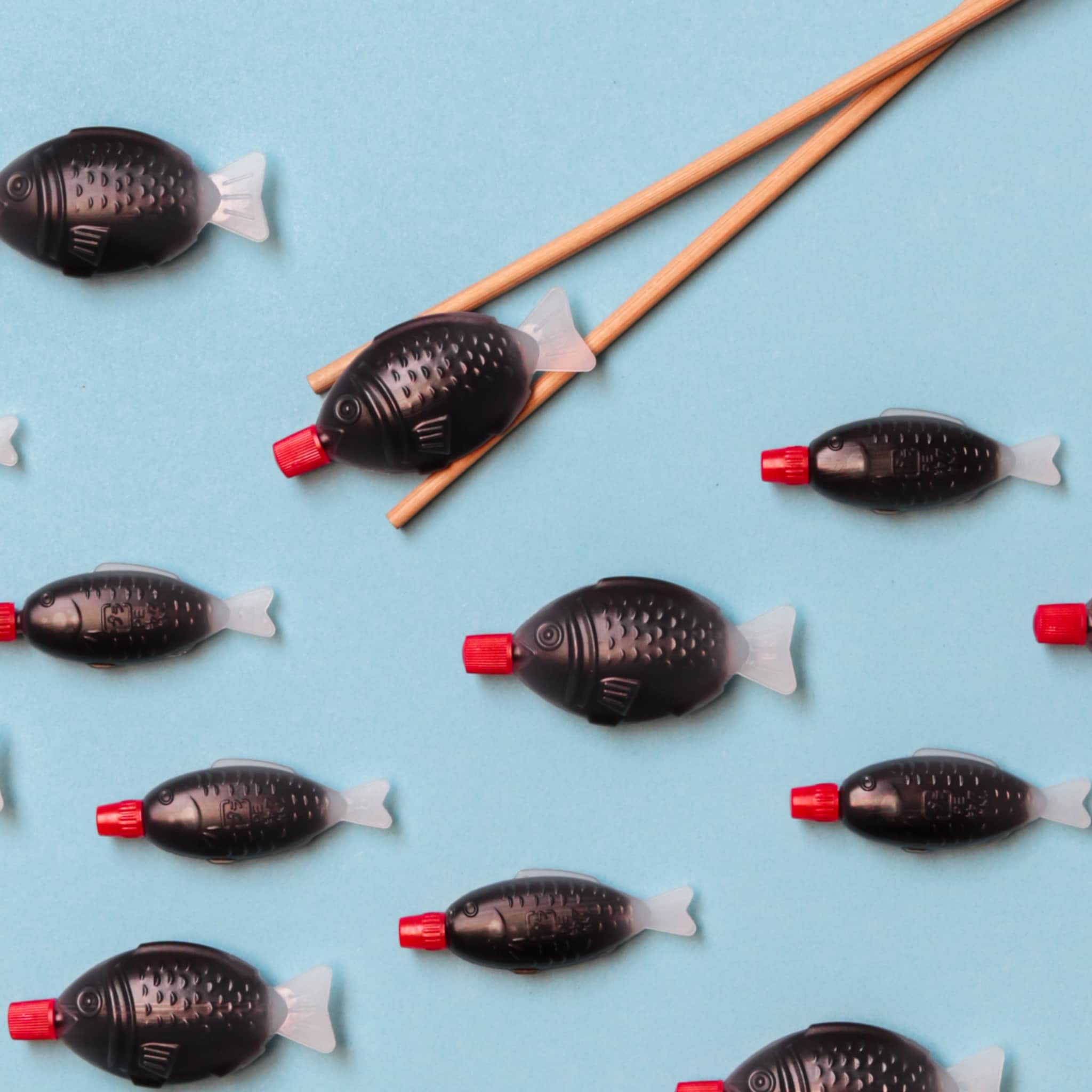 sushi eten tijdens je zwangerschap