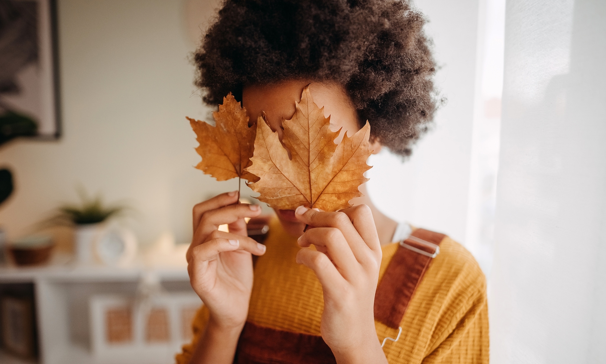 21x herfstknutsels ter inspiratie Getty Images