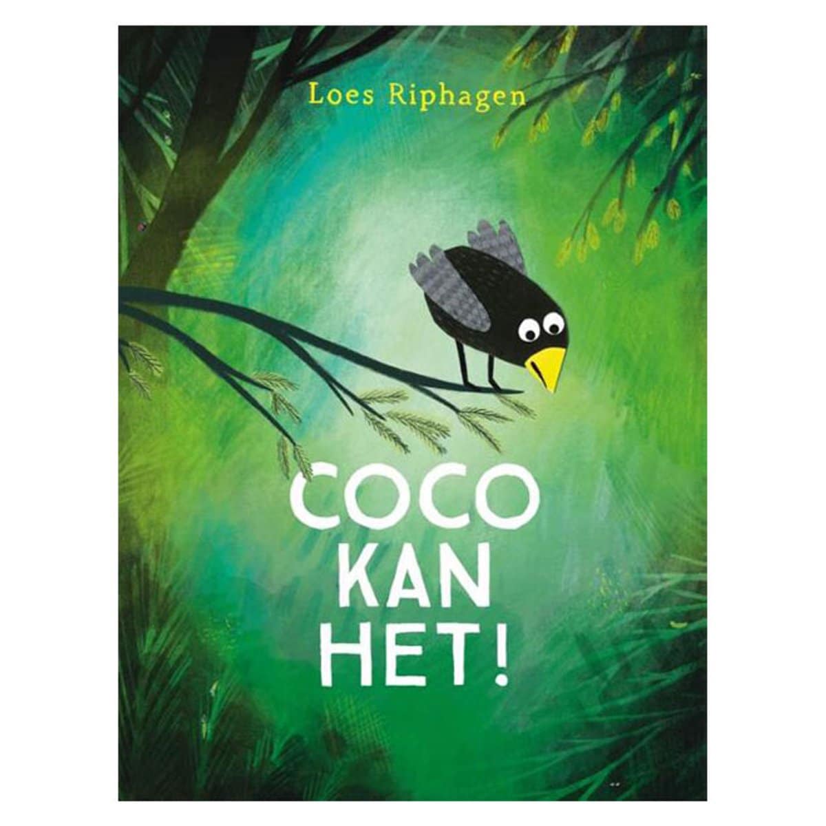 coco kan het Gottmer