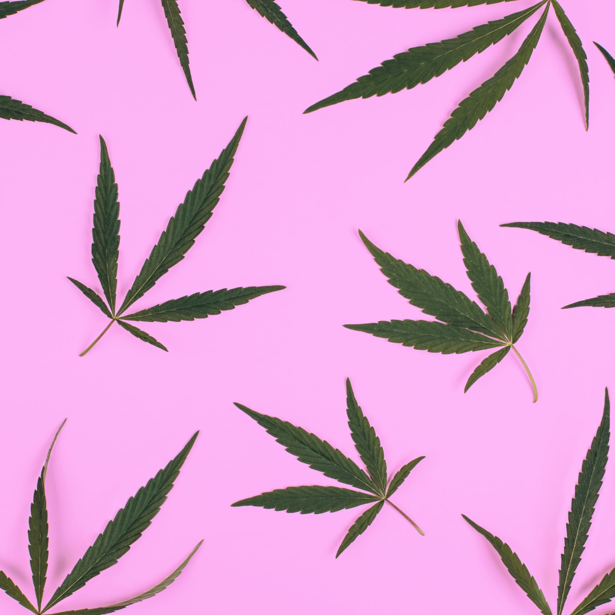 onderzoek cannabis slecht voor kwaliteit eicellen