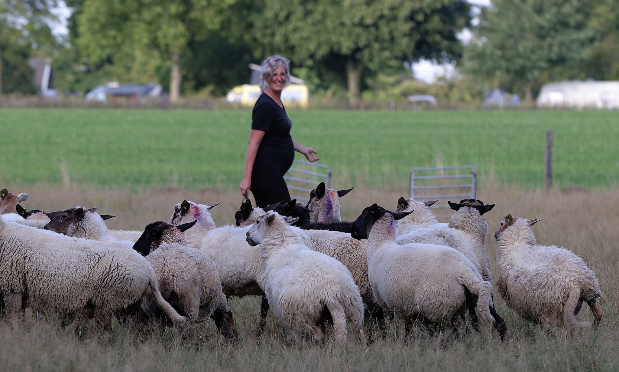 Janine is schaapsherderin fotograaf: Meijco van Velzen