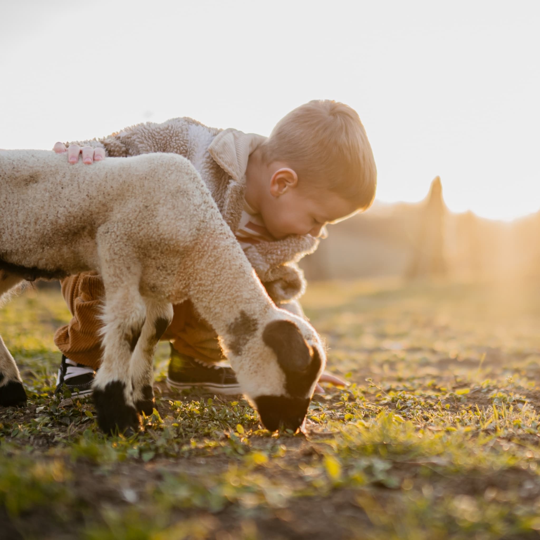leukste kinderboerderijen voor peuters en kleuters