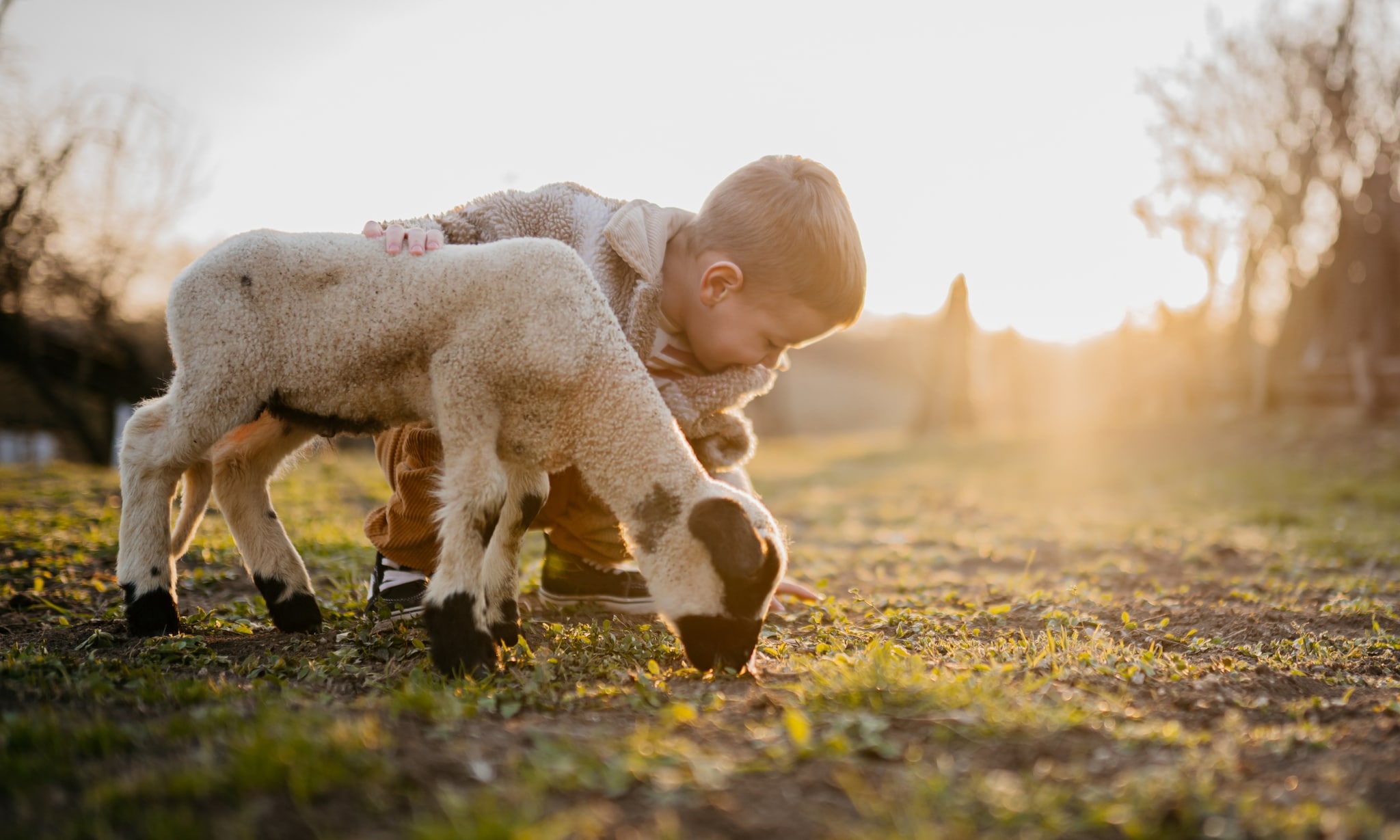 Een overzicht van de leukste kinderboerderijen in Nederland Getty Images