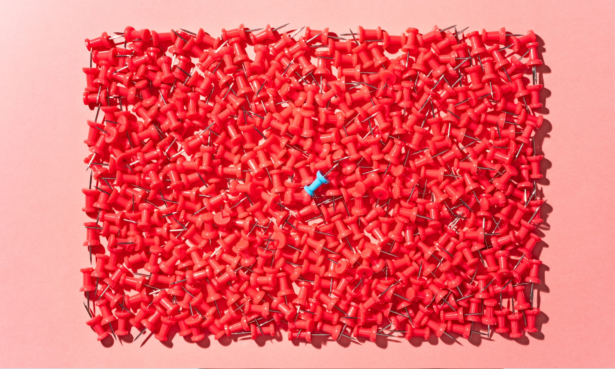 De rhesusfactor wat is het Getty Images