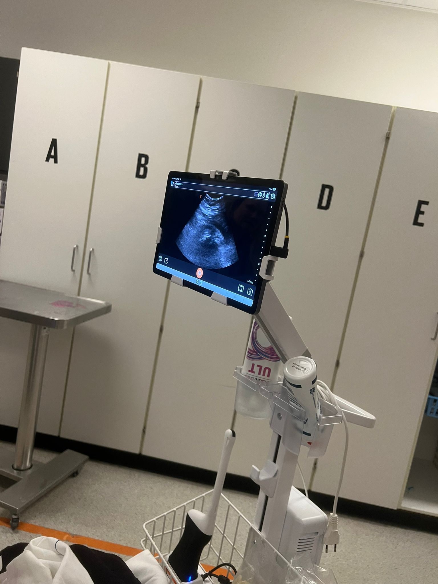 De echofoto die Roy maakte. Privéfoto