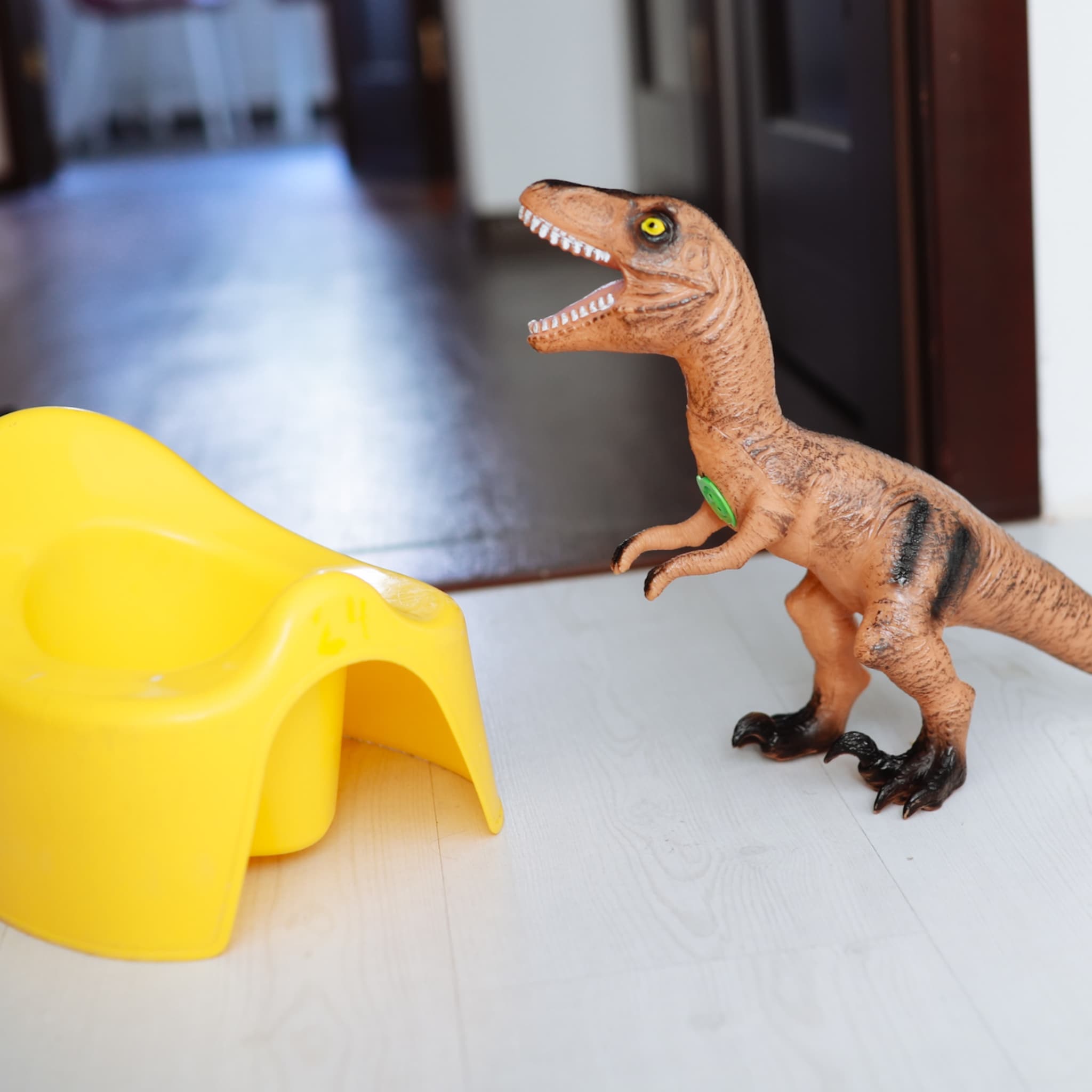 plaswekker bij de zindelijkheidstraining