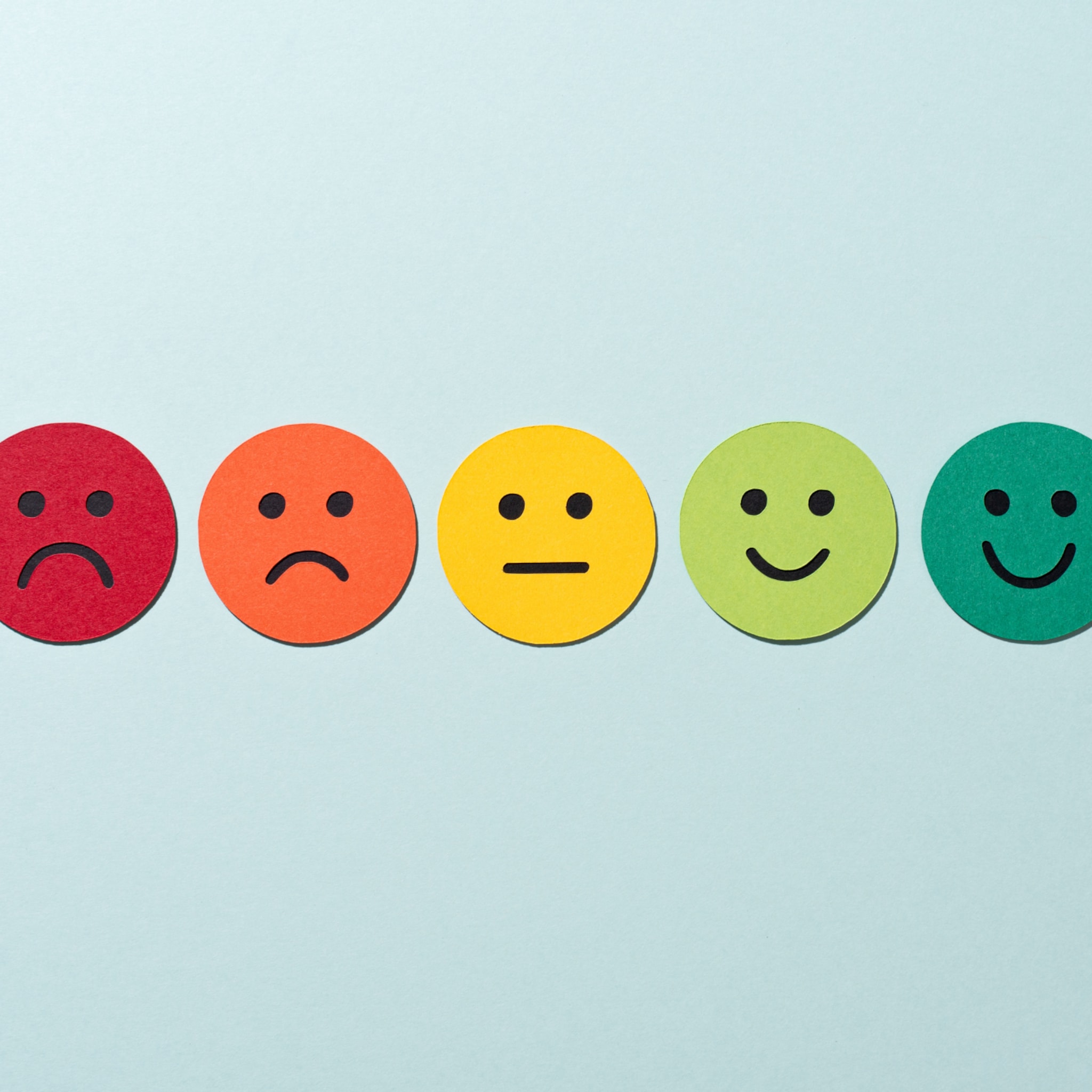 het schoolrapport wat staat er precies in