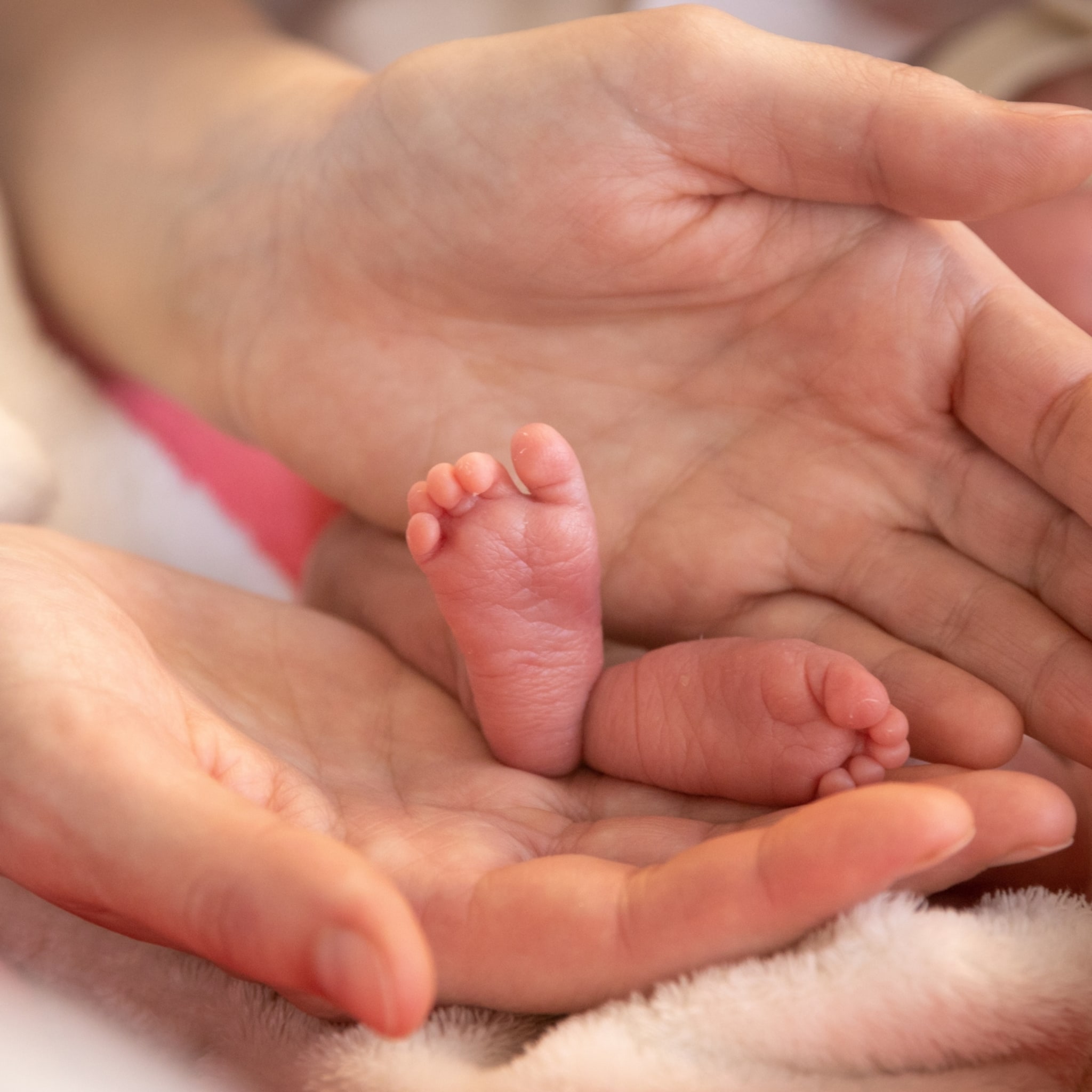 stef schaal watermethode baby