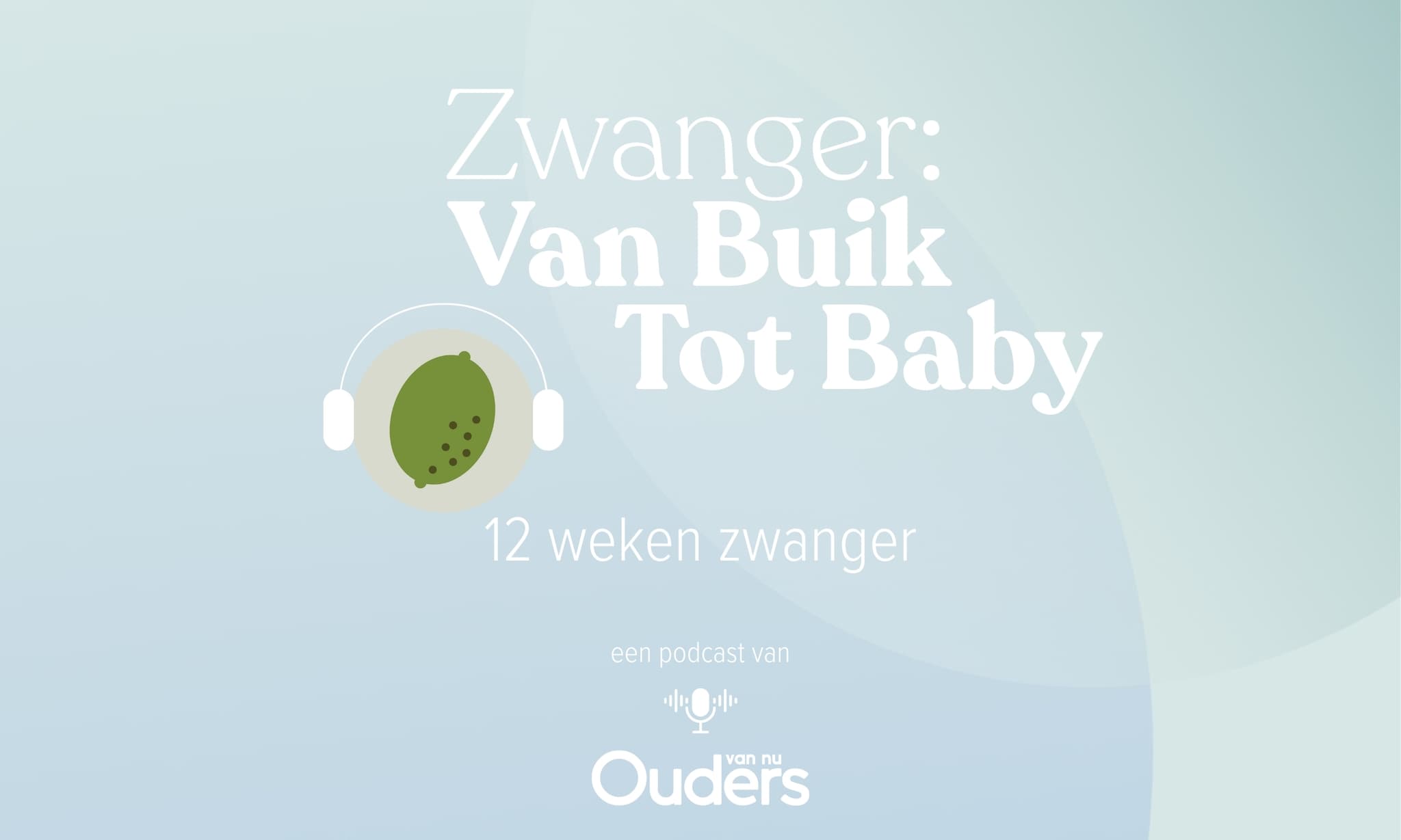 Zwanger: Van Buik Tot Baby - 12 weken Ouders van Nu