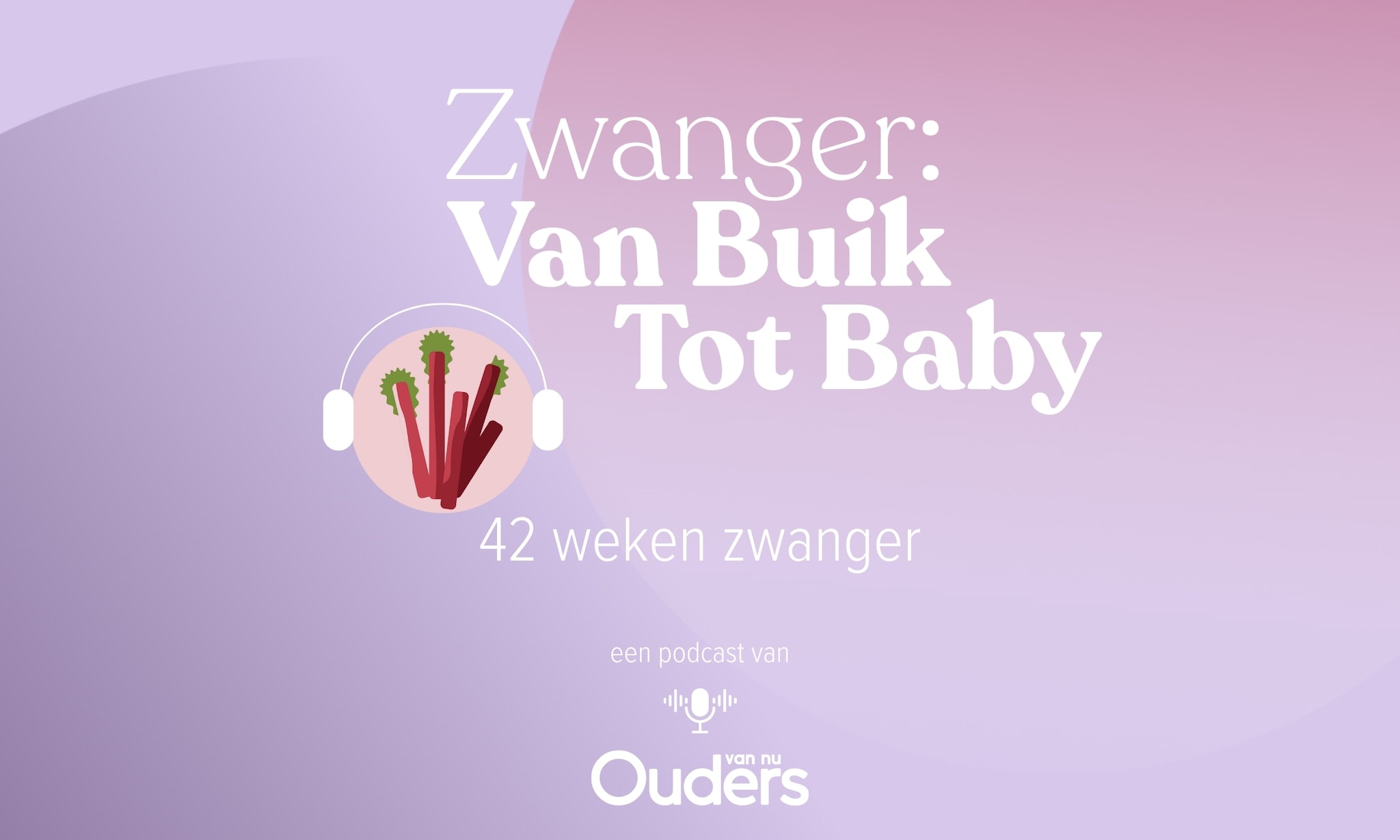 Zwanger: Van Buik Tot Baby - 42 weken Ouders van Nu