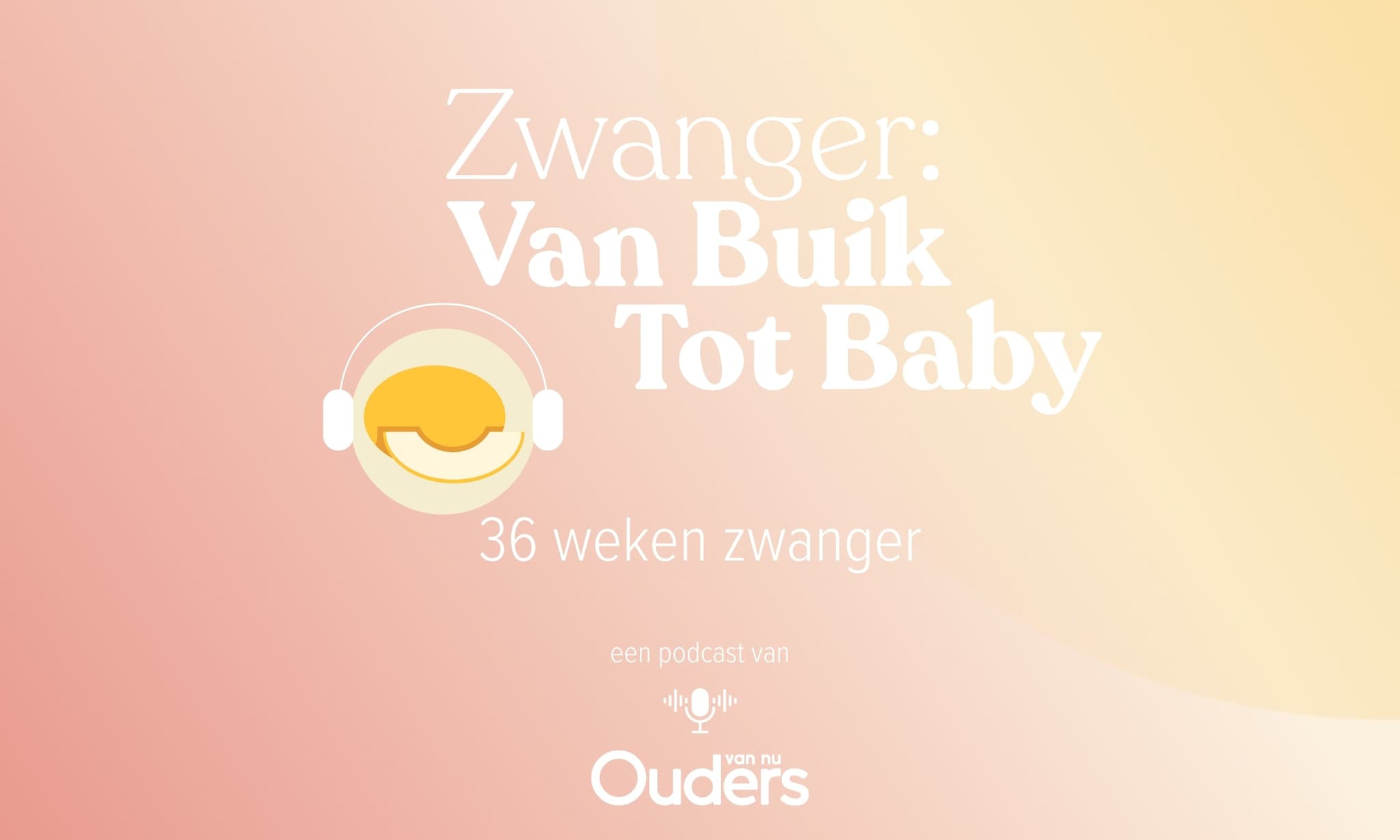 Zwanger: Van Buik Tot Baby - 36 weken Ouders van Nu