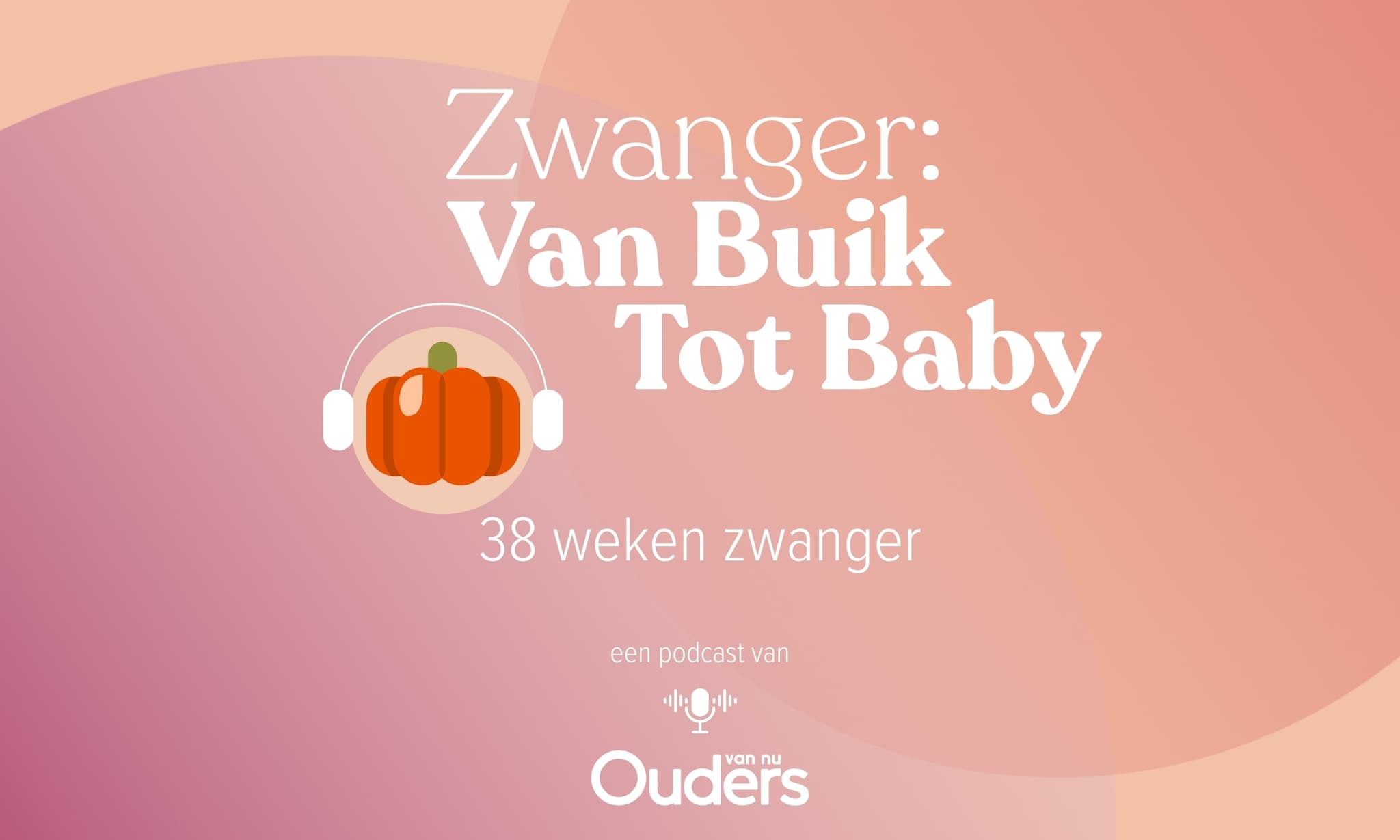Zwanger: Van Buik Tot Baby - 38 weken Ouders van Nu