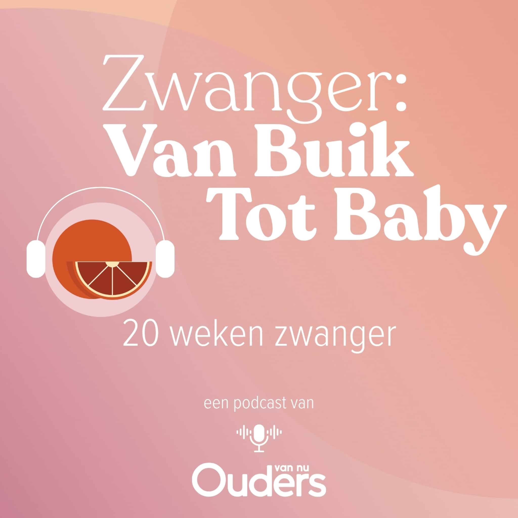 zwanger van buik tot baby 20 weken zwanger