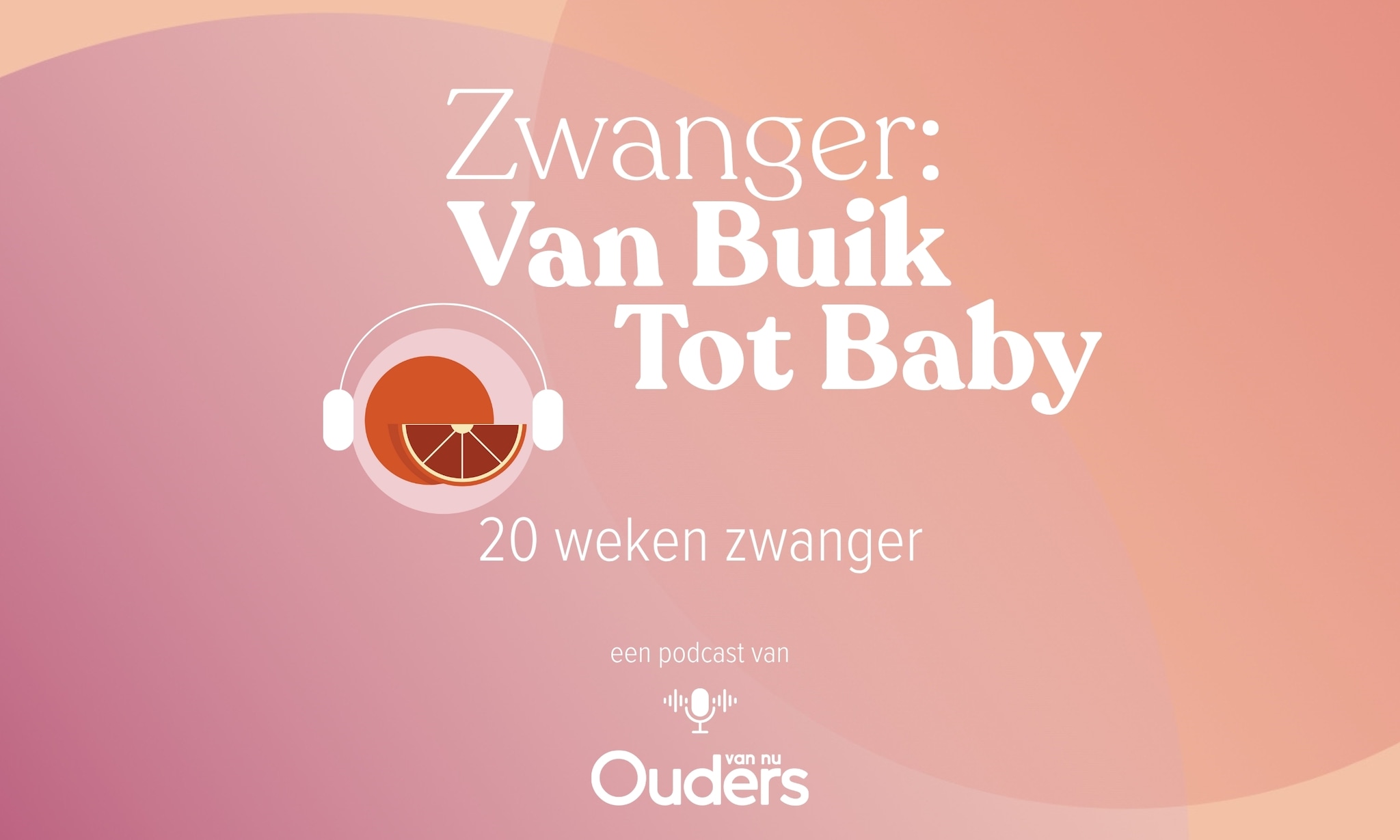 Zwanger: Van Buik Tot Baby - 20 weken Ouders van Nu