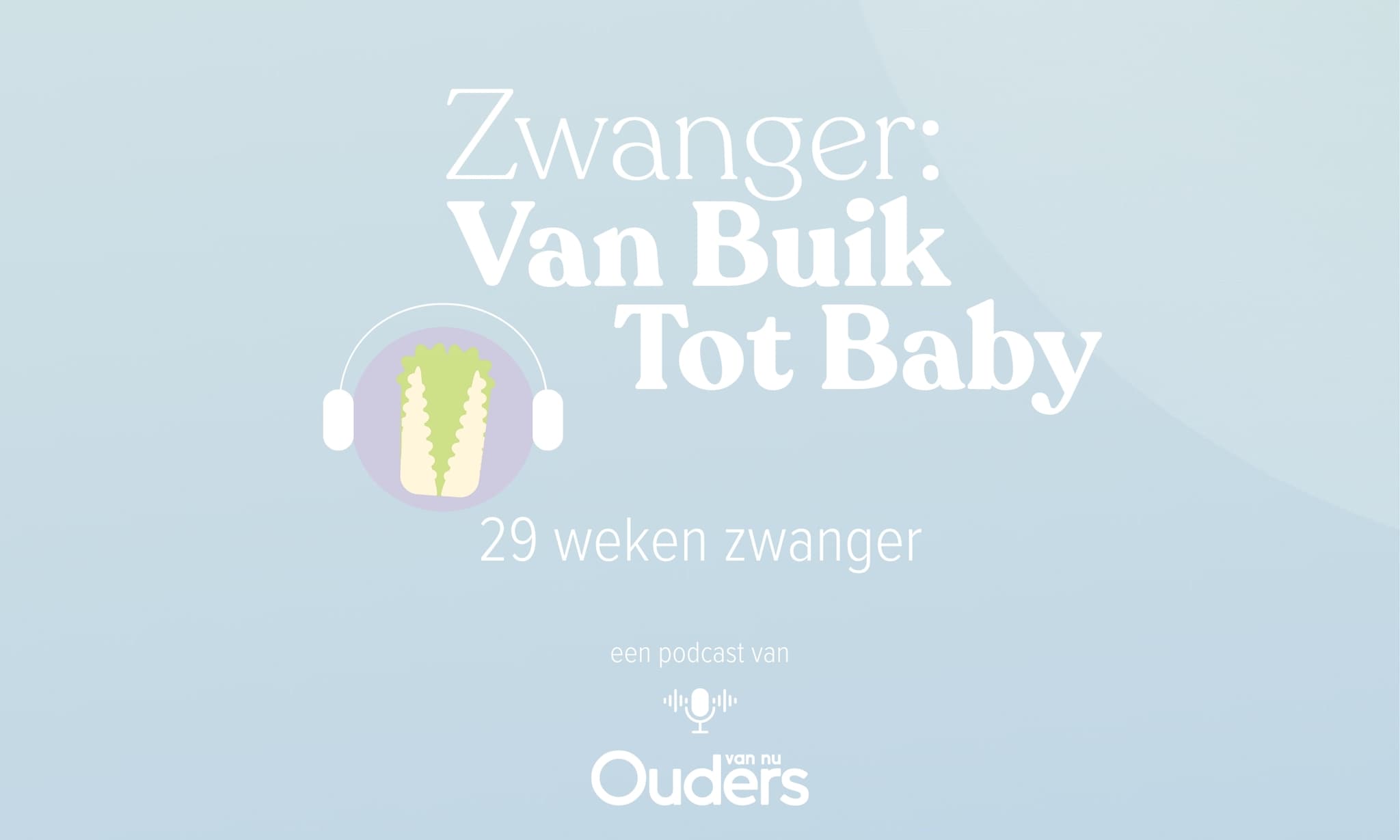 Zwanger: Van Buik Tot Baby - 29 weken Ouders van Nu
