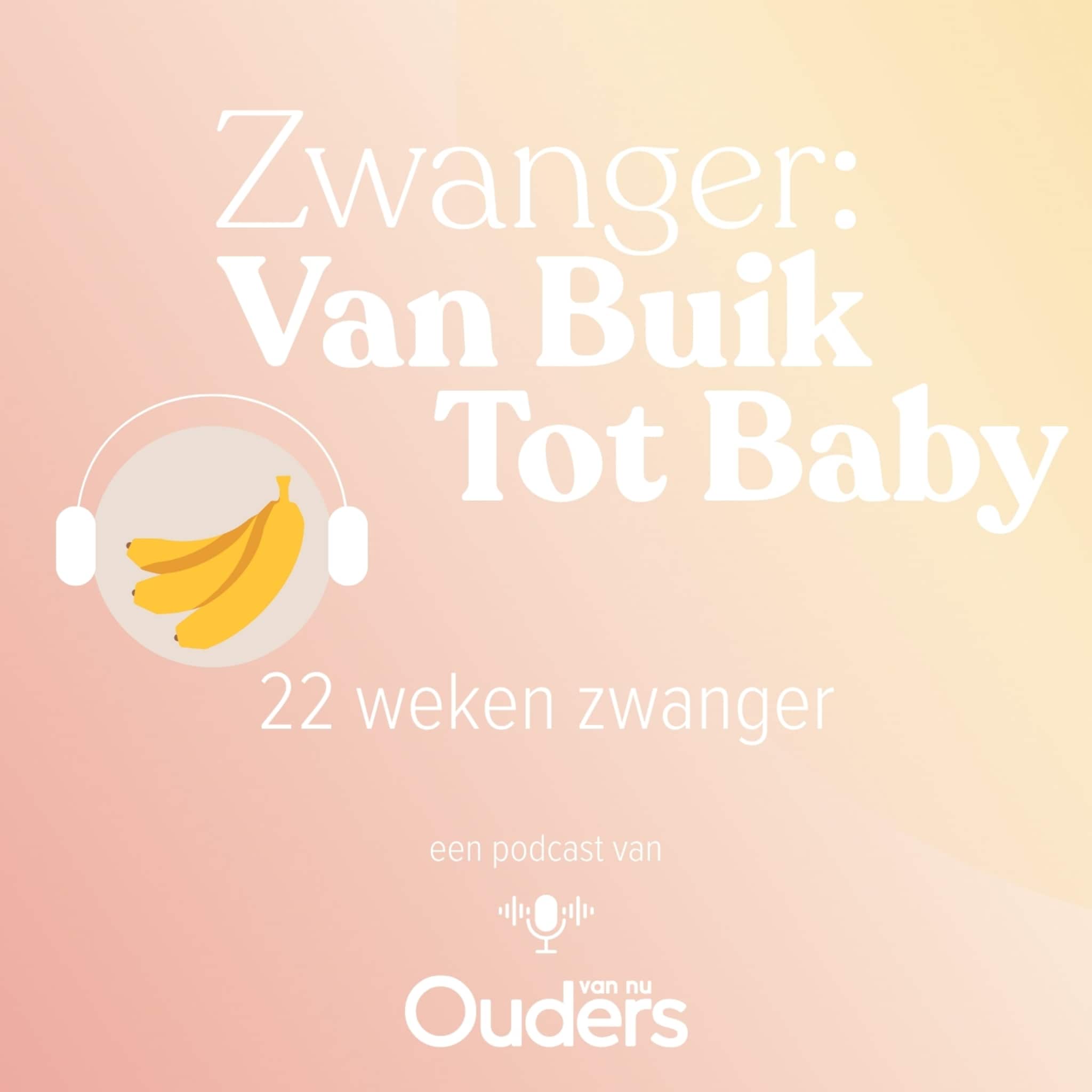 zwanger van buik tot baby 22 weken zwanger