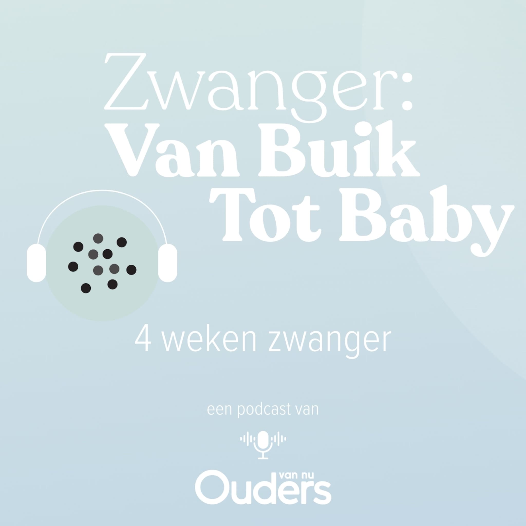 zwanger van buik tot baby 4 weken zwanger