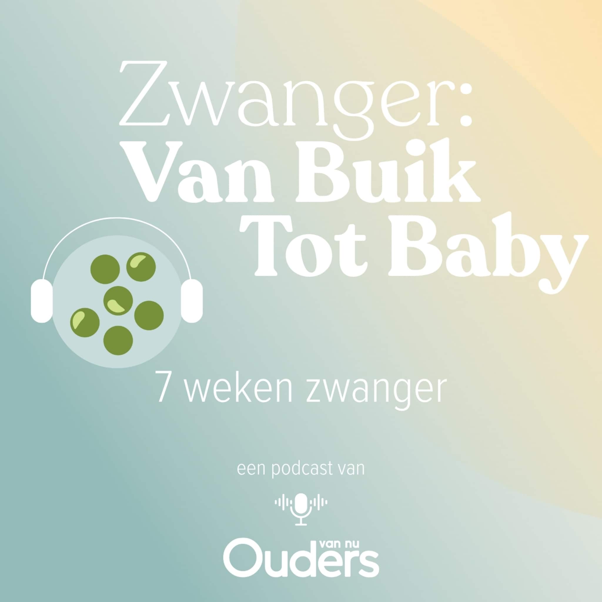 zwanger van buik tot baby 7 weken zwanger
