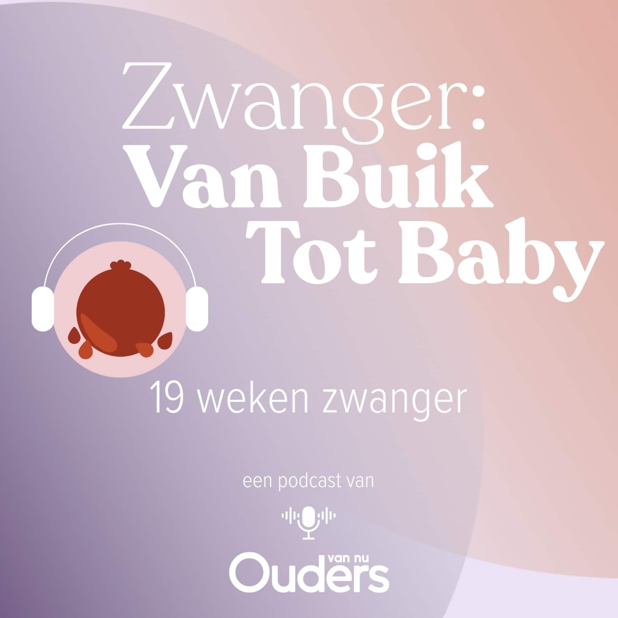 zwanger van buik tot baby 19 weken zwanger