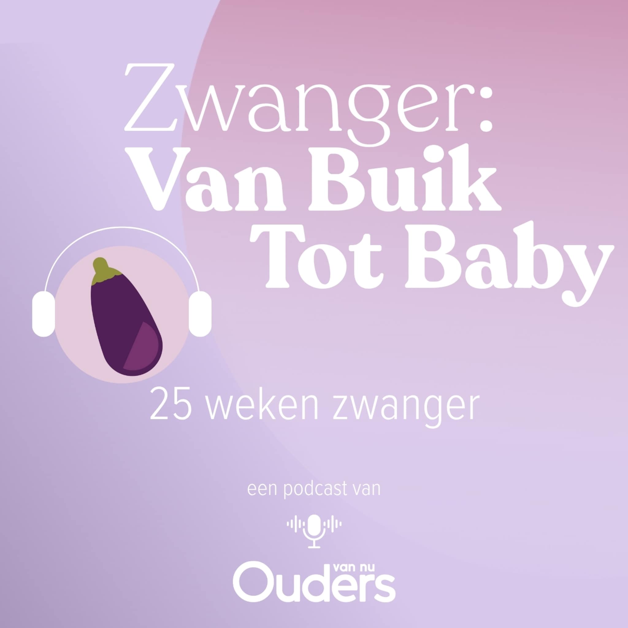 zwanger van buik tot baby 25 weken zwanger