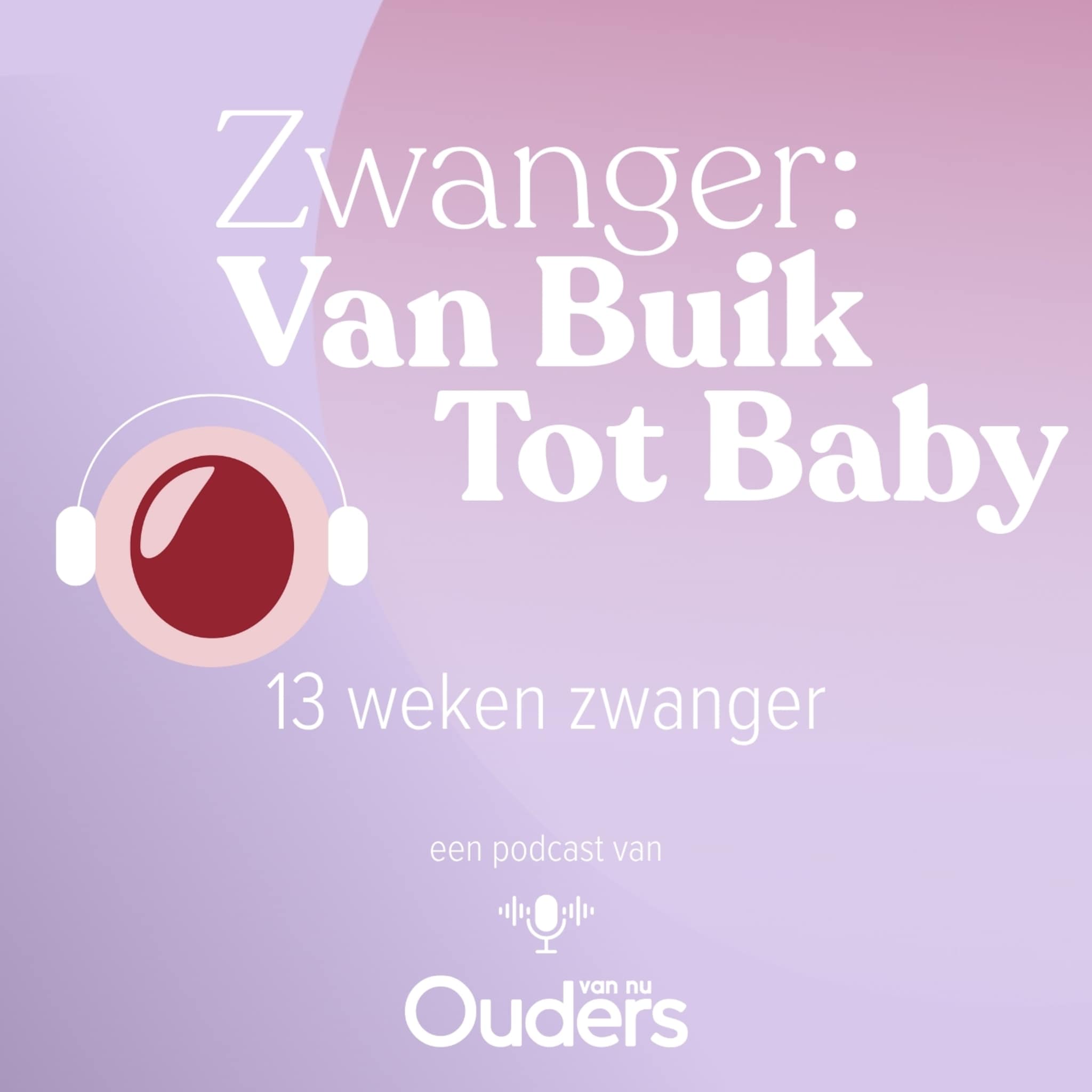 zwanger van buik tot baby 13 weken zwanger