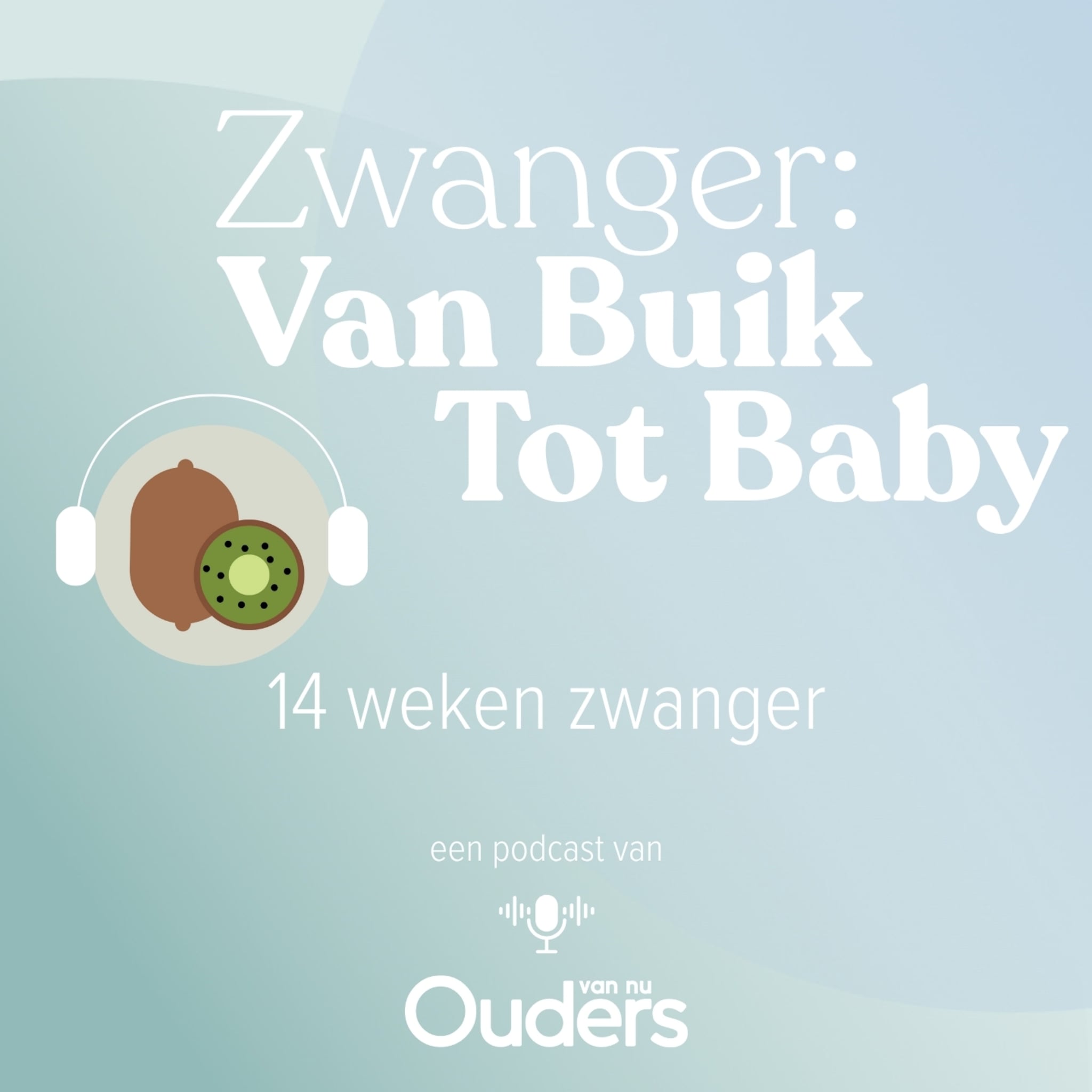 zwanger van buik tot baby 14 weken zwanger